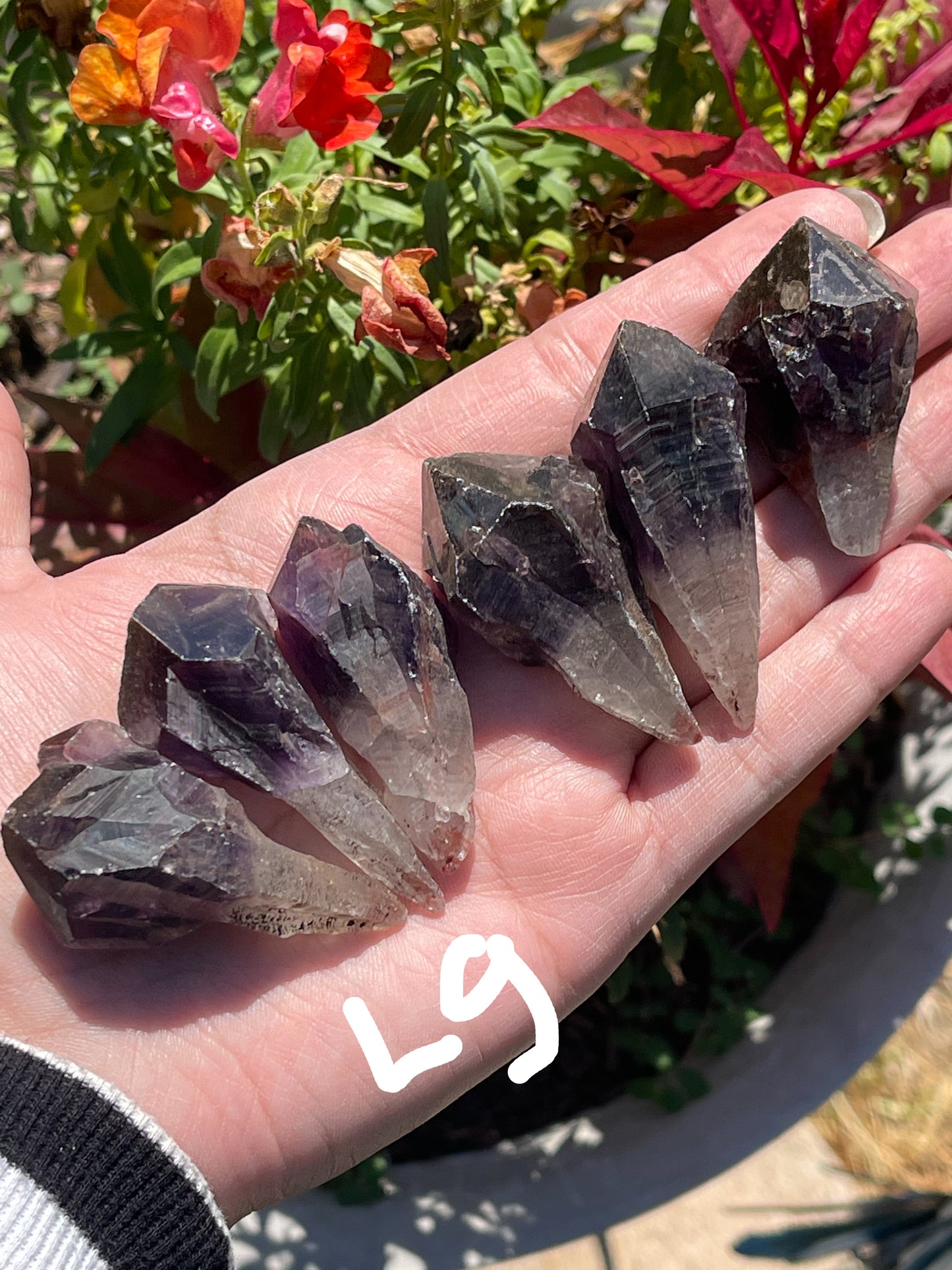 Black Amethyst Teeth