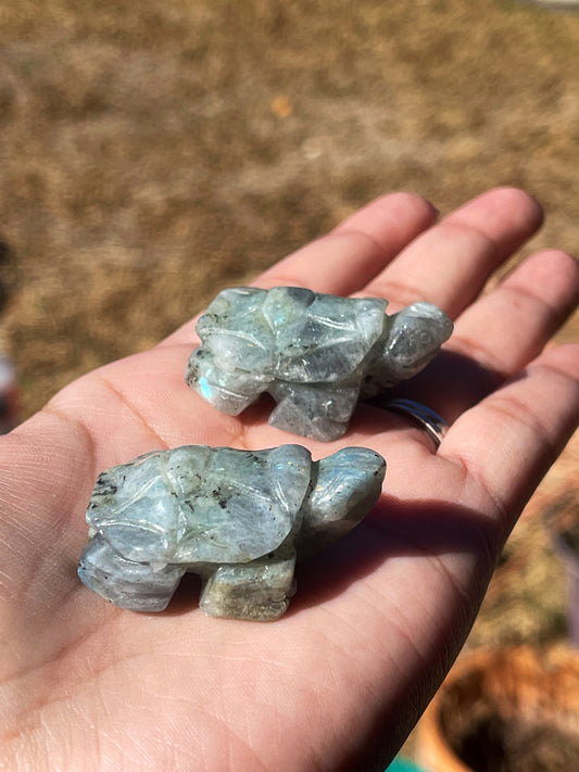 Labradorite Turtles