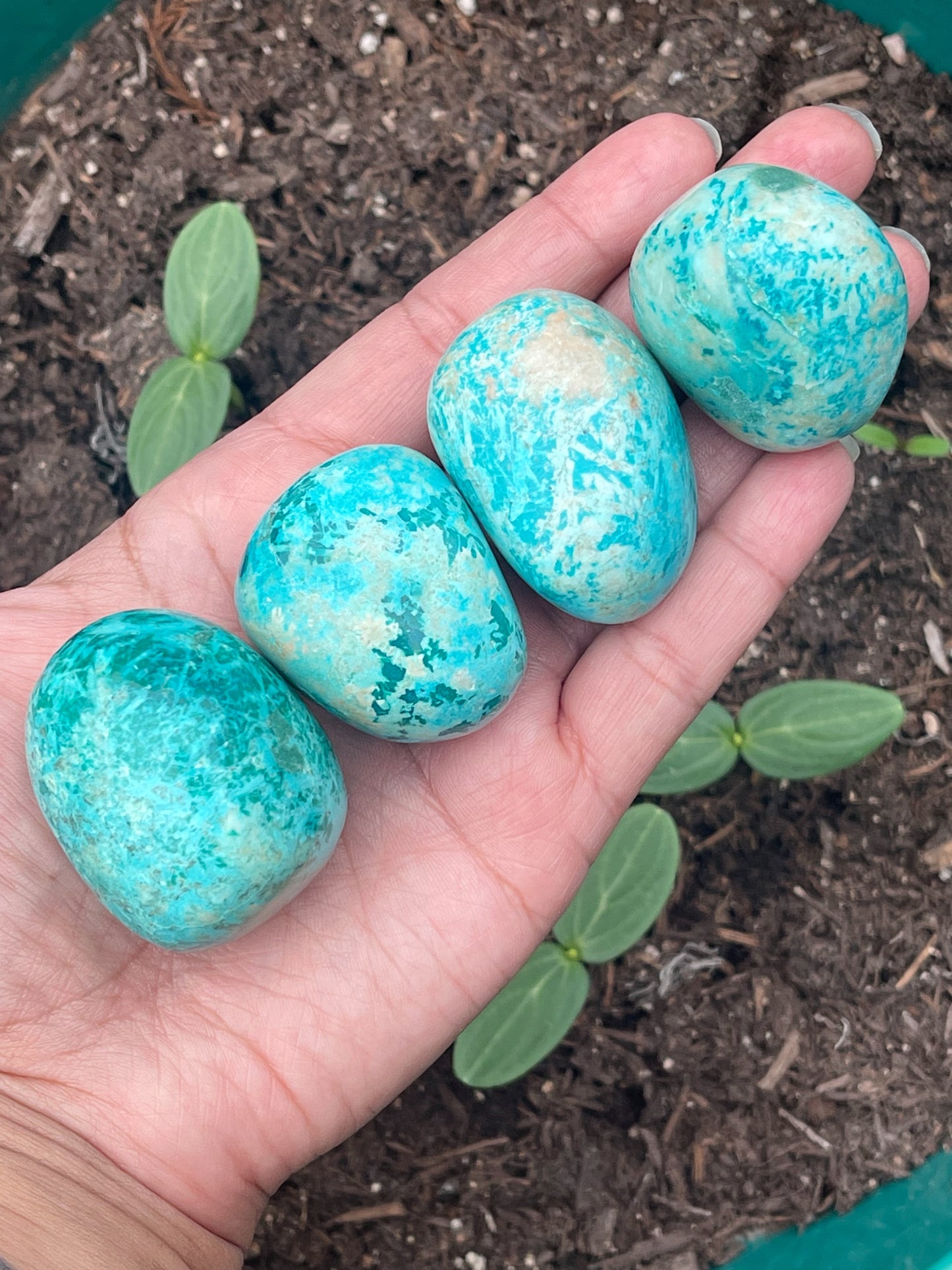 Peruvian Turquoise Tumbles & Palm Stones