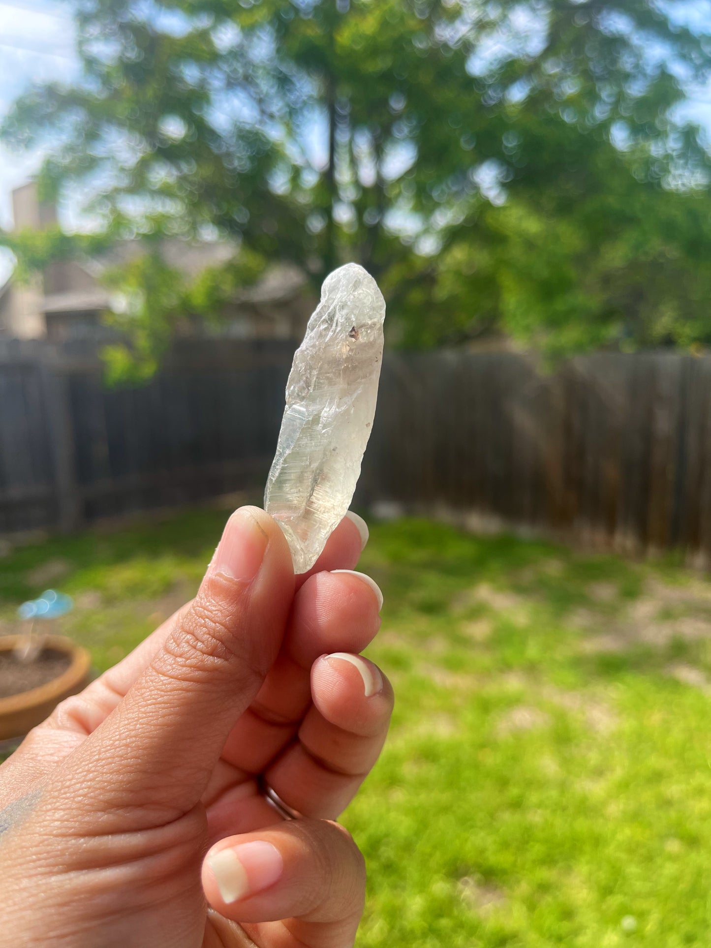 Prasiolite "Green Amethyst" Raw Pieces