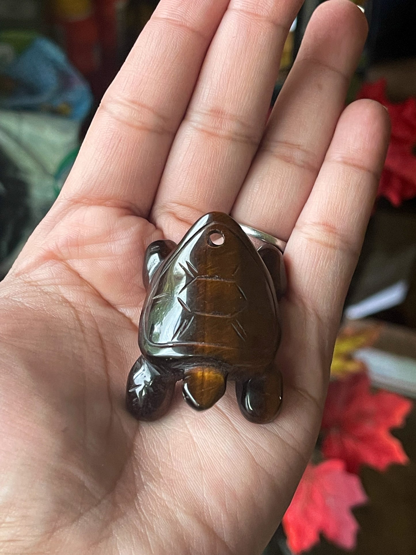 Tigers Eye Turtle