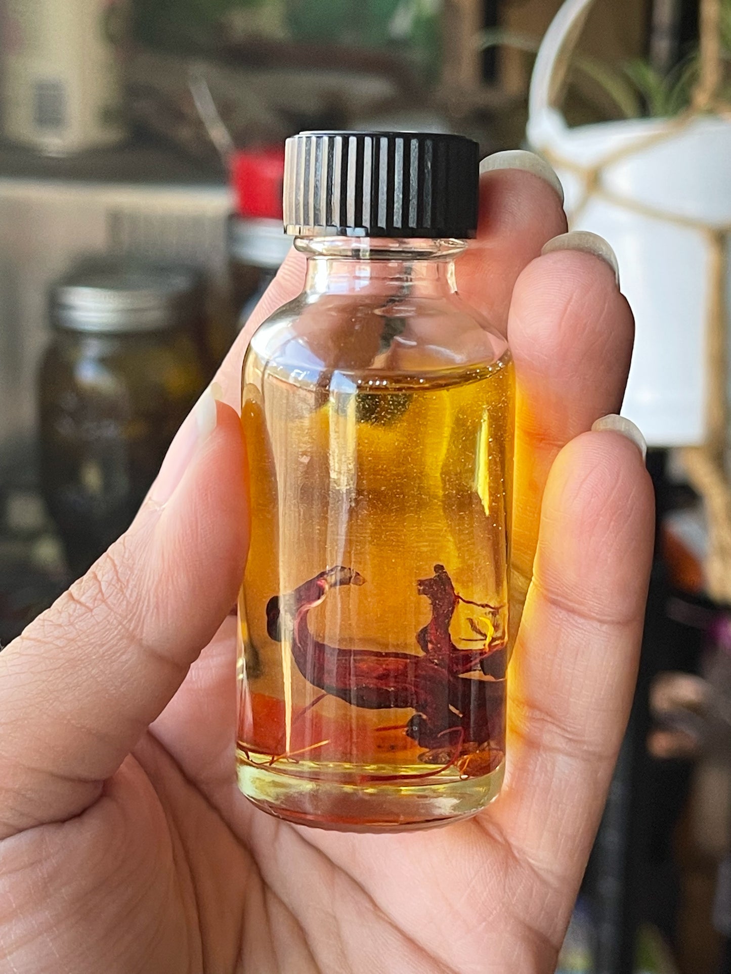 Cupids Massage Oil