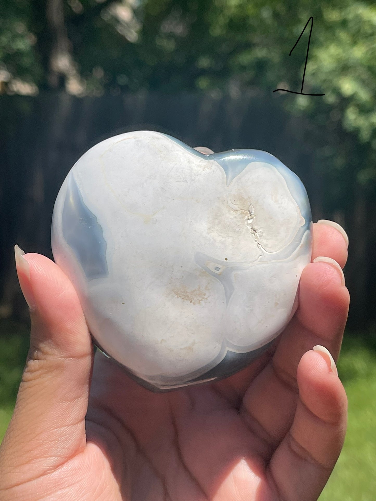 Orca Agate Hearts