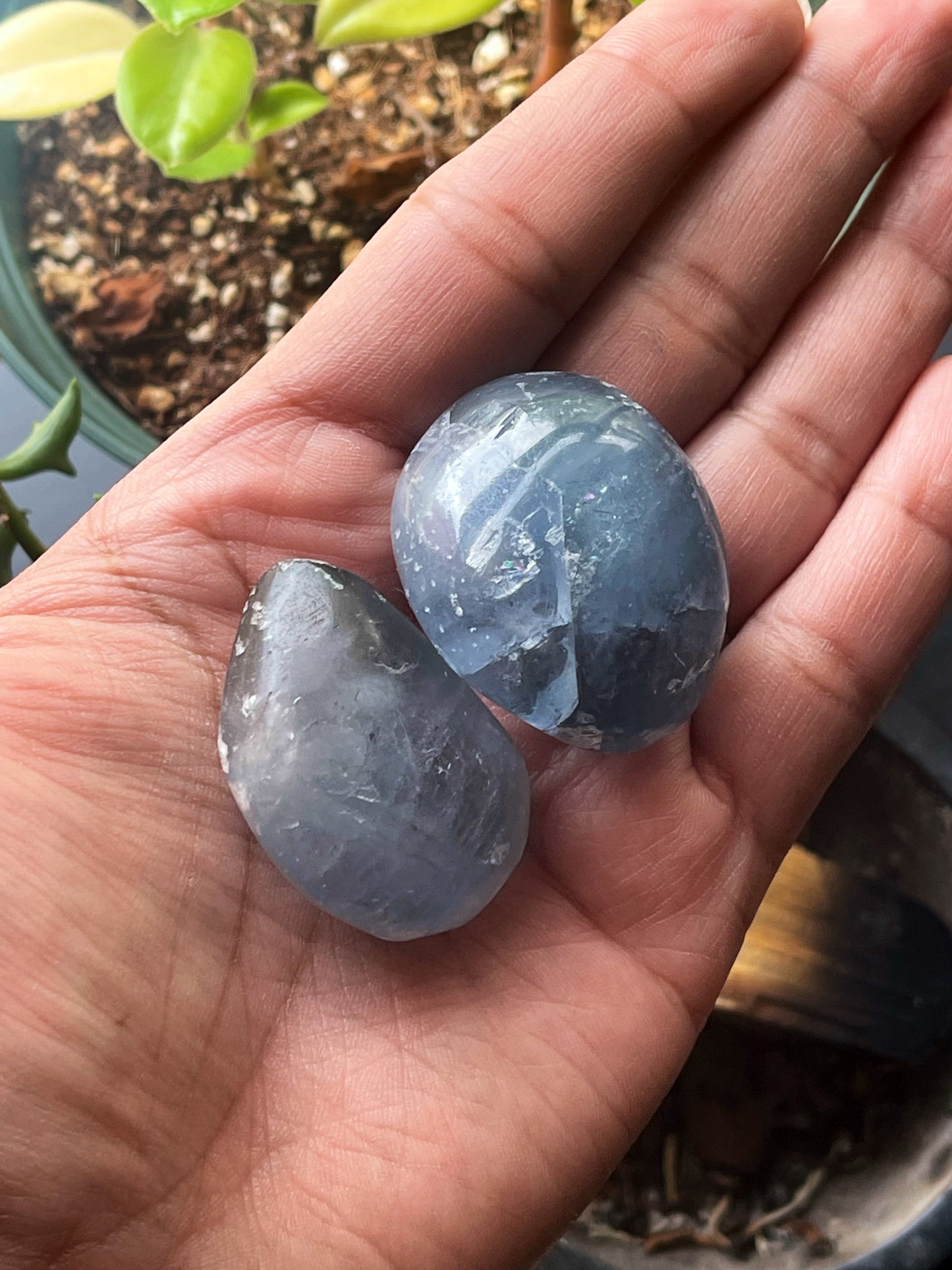 Celestite Tumbles