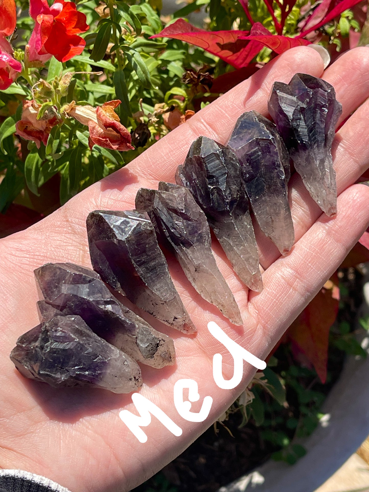 Black Amethyst Teeth