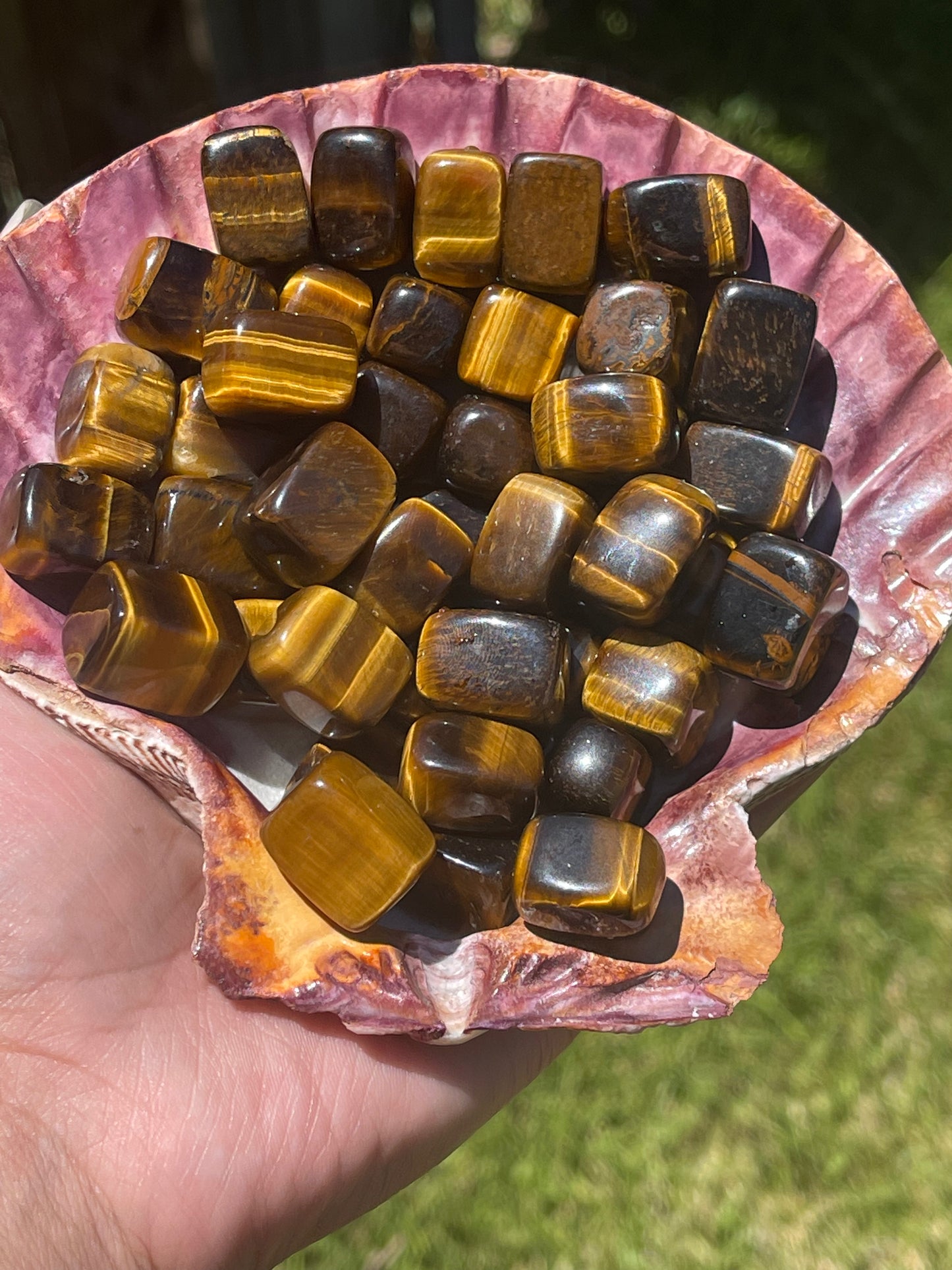 Tigers Eye Cube