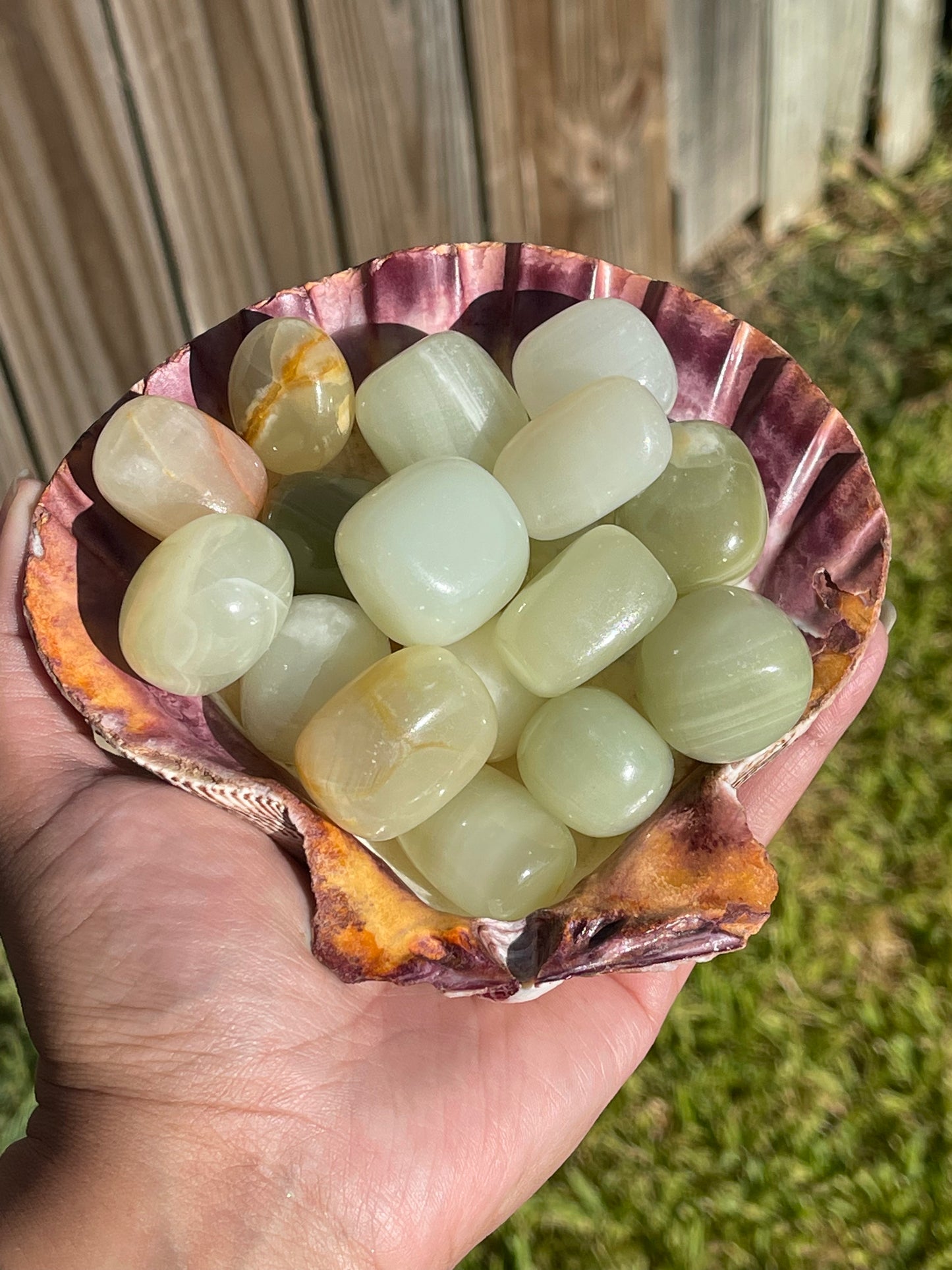 Green Onyx Tumbles