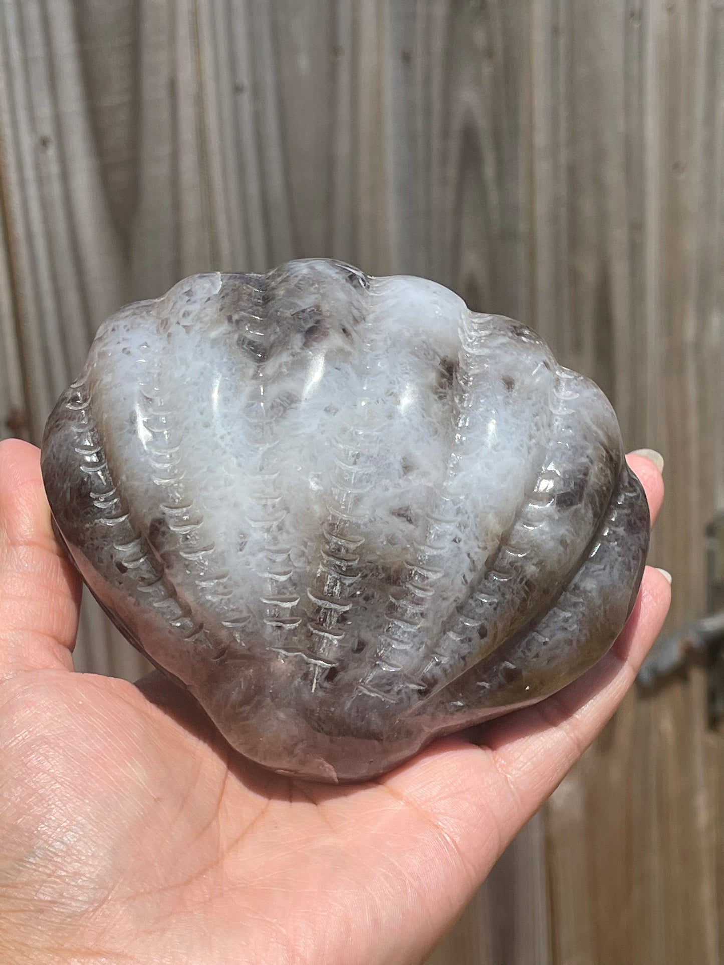 Amethyst Shell # 2