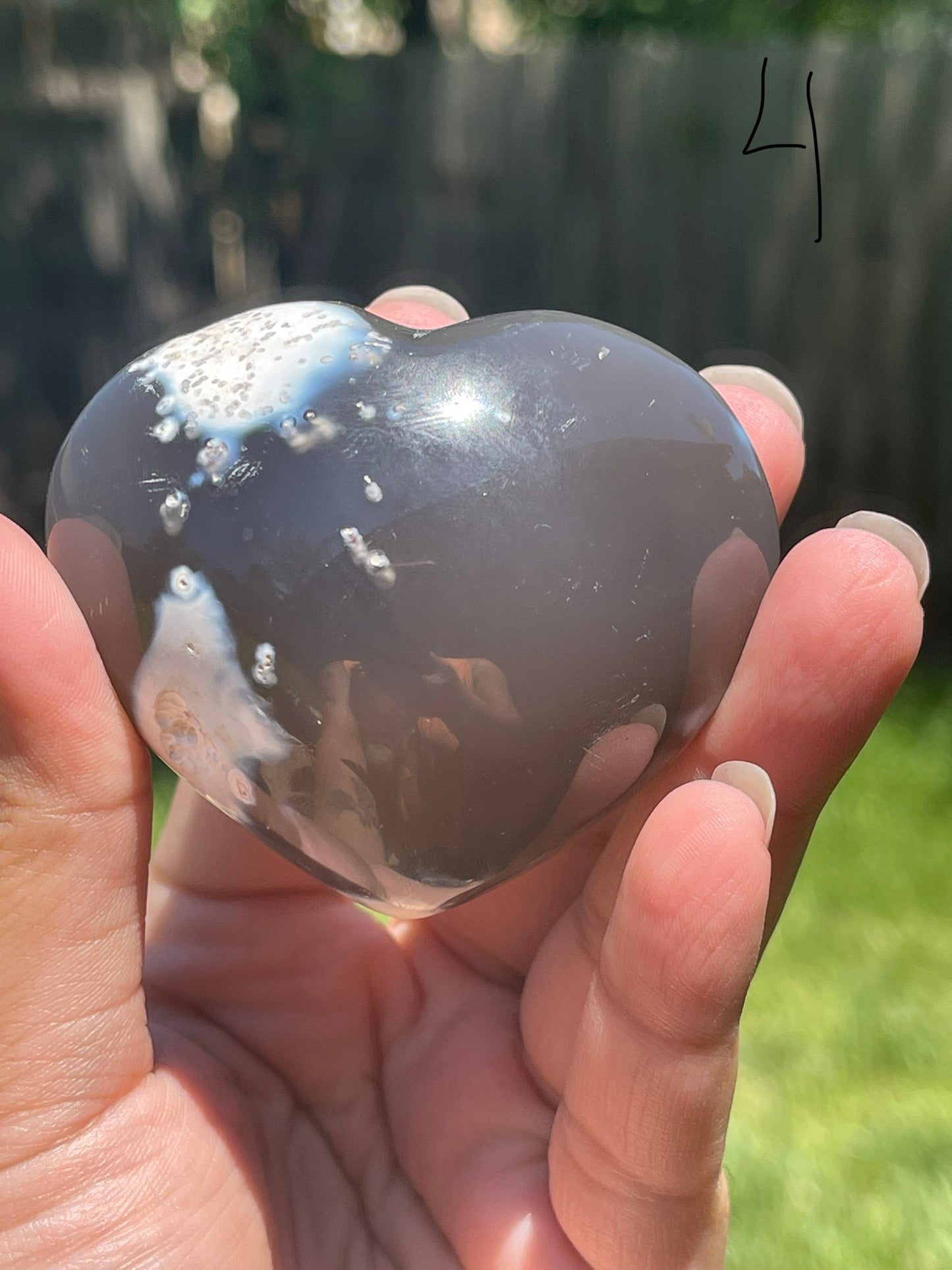 Orca Agate Hearts