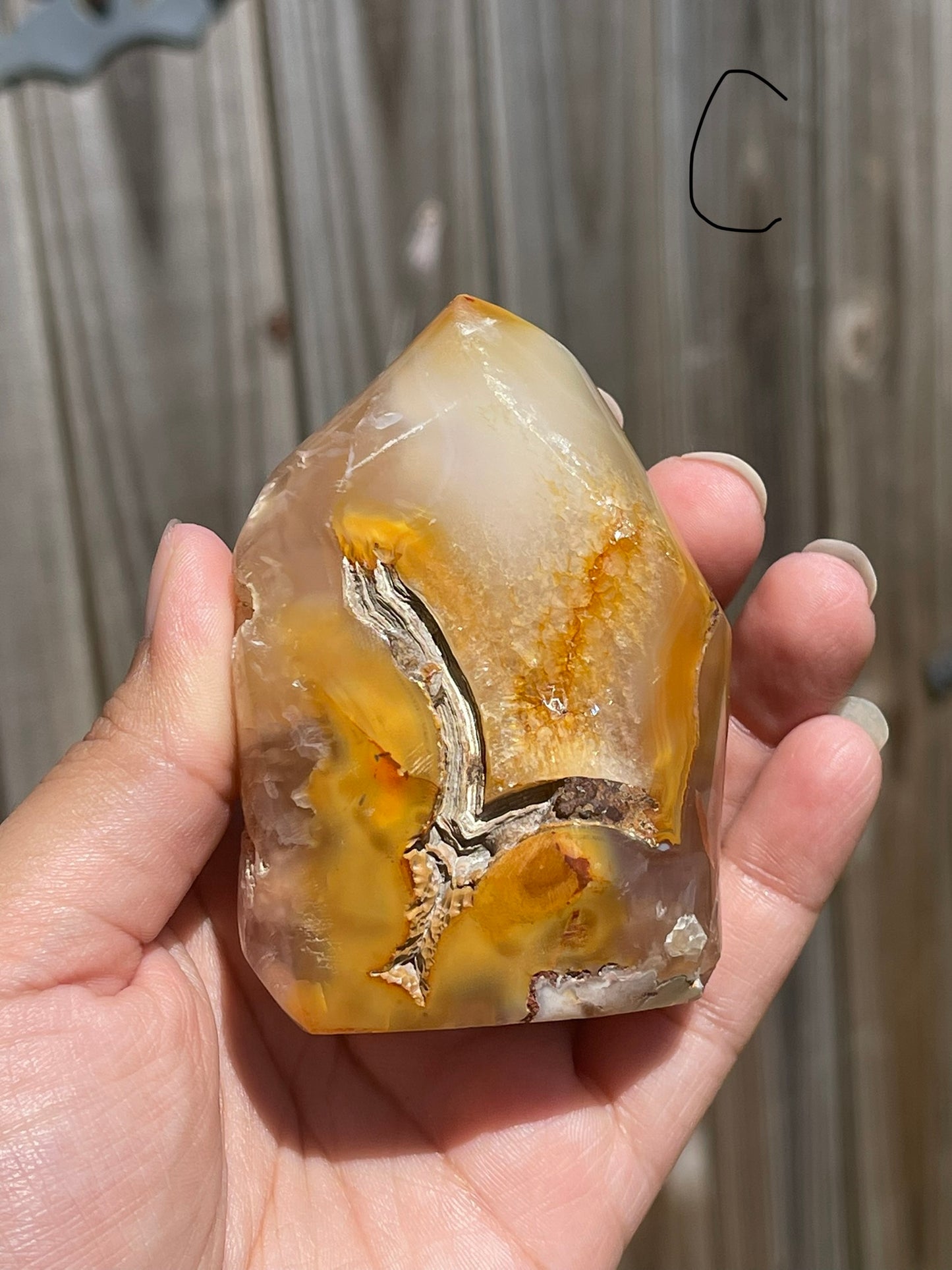 Flower Agate Flames