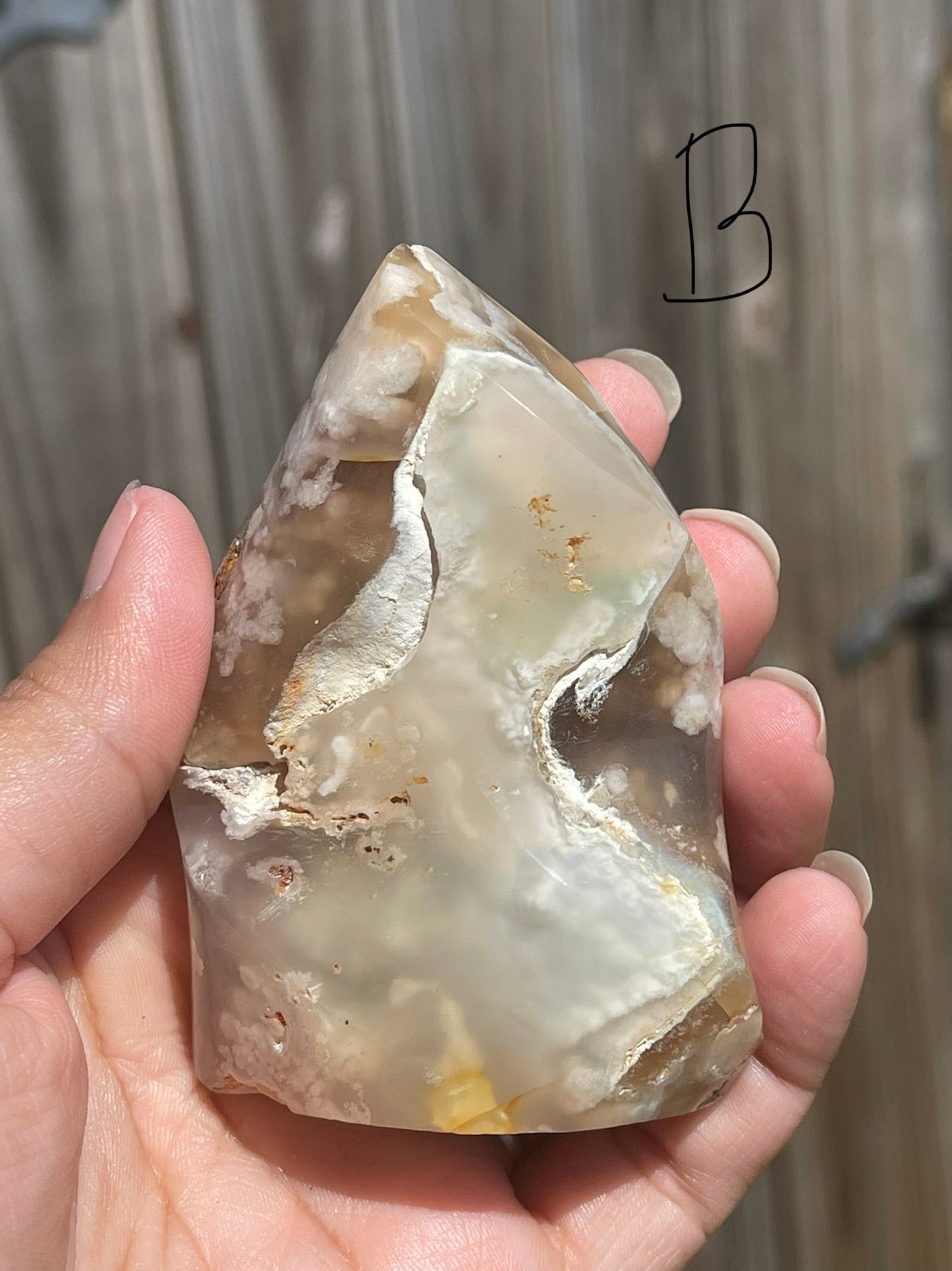 Flower Agate Flames
