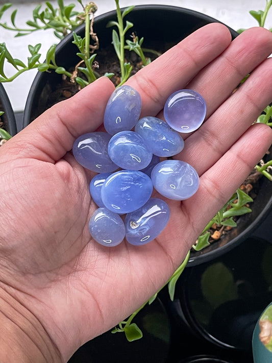 Blue Chalcedony Tumbles