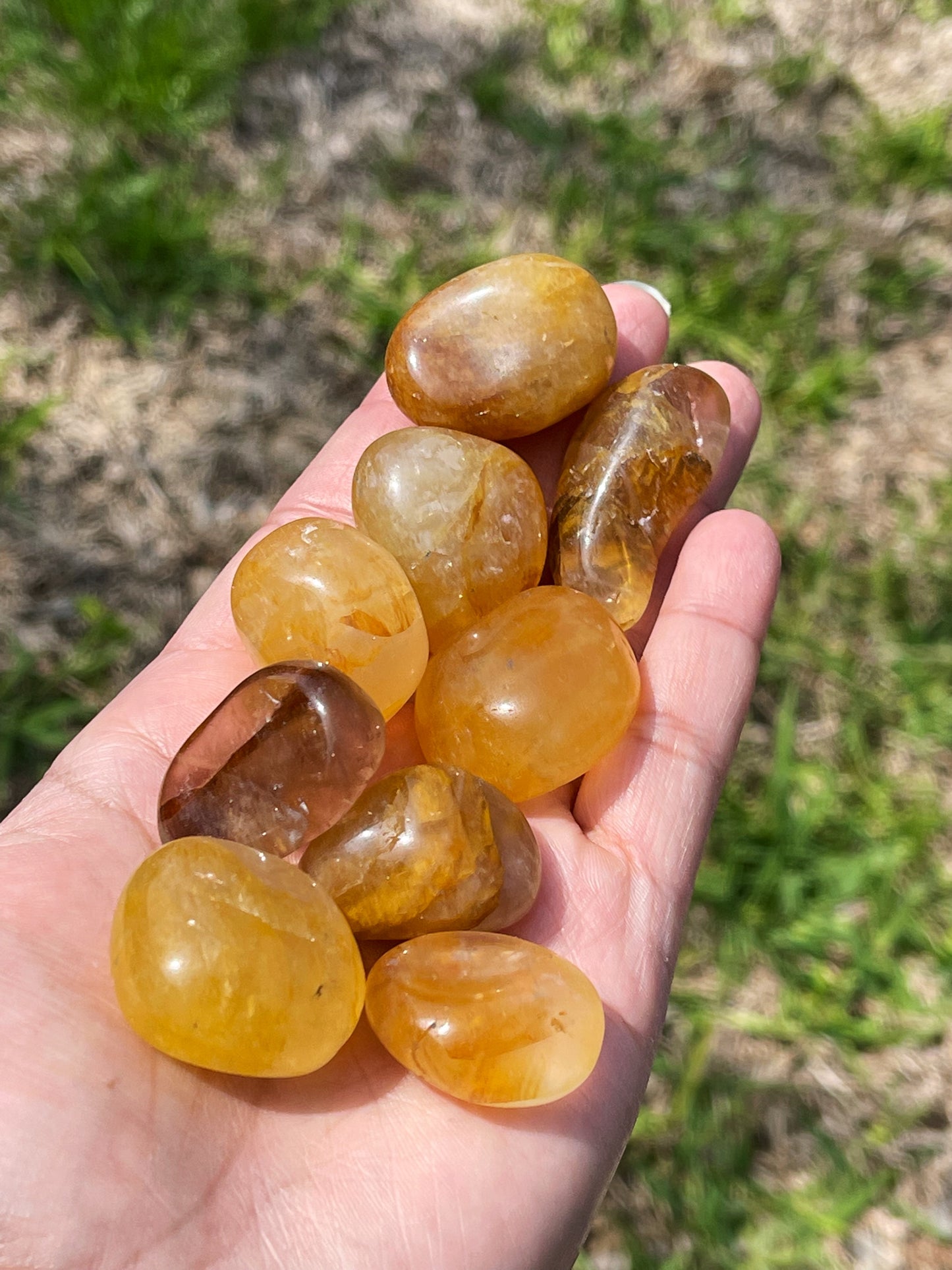 Golden Healer Tumbles