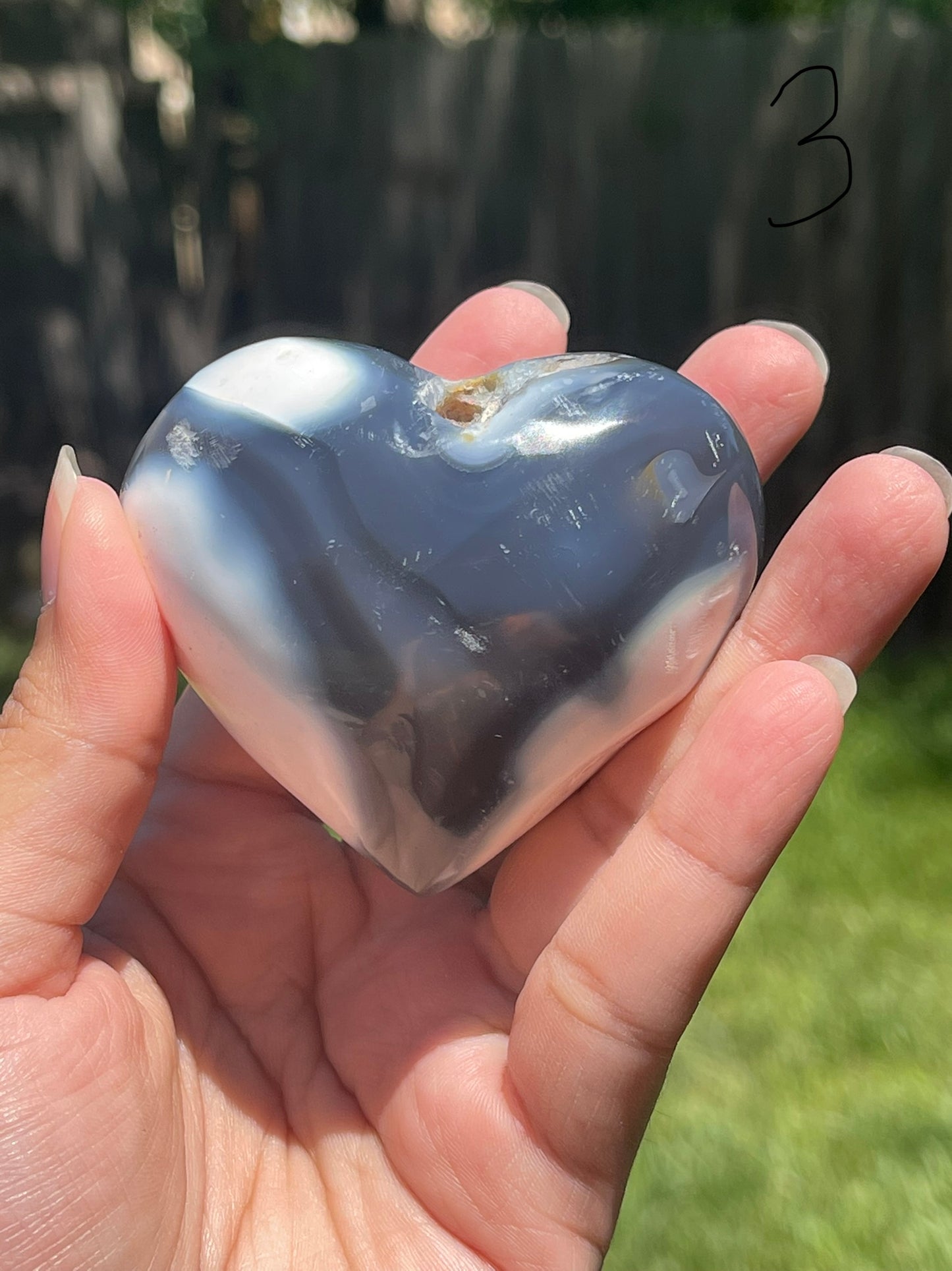 Orca Agate Hearts