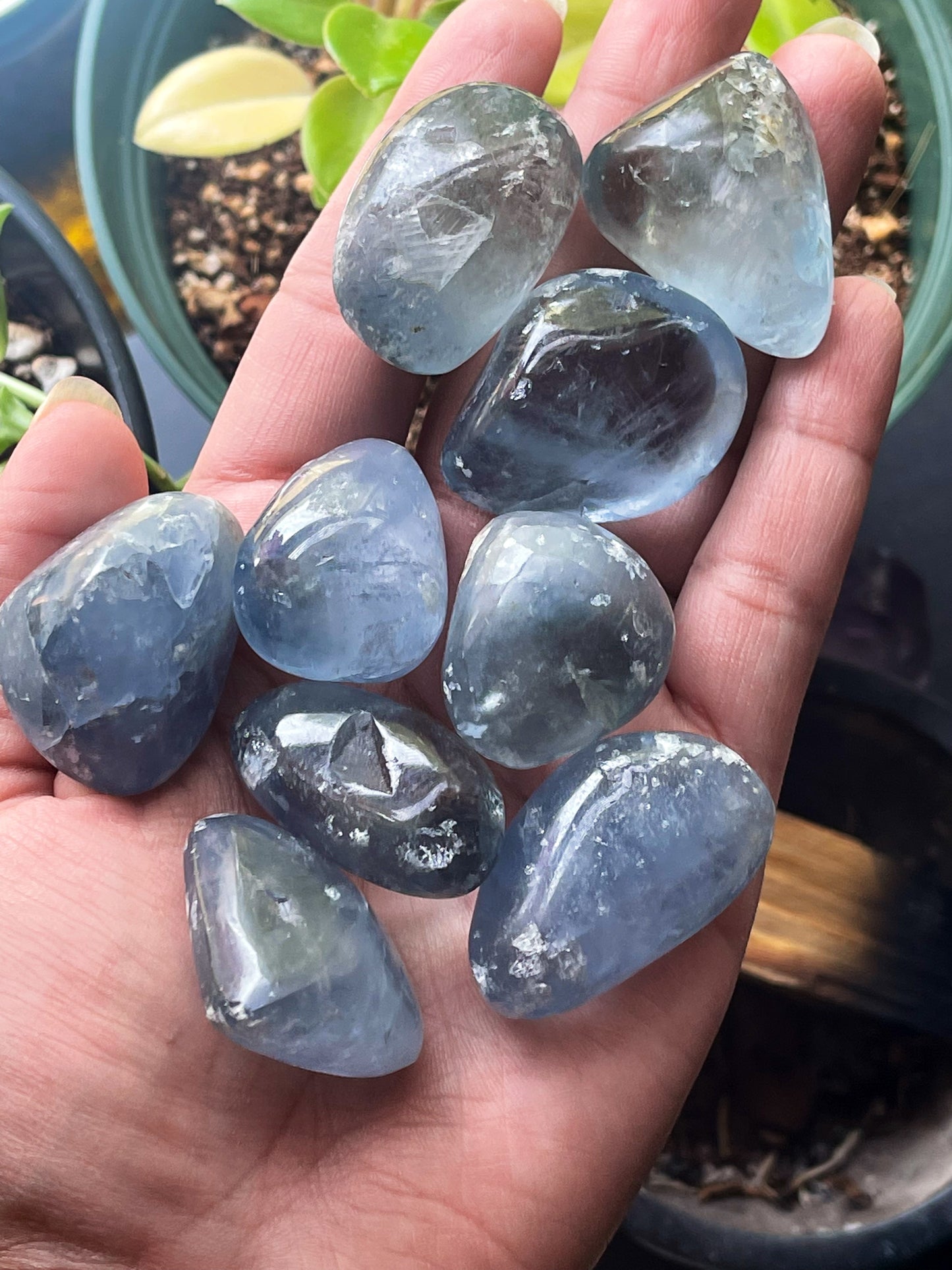 Celestite Tumbles