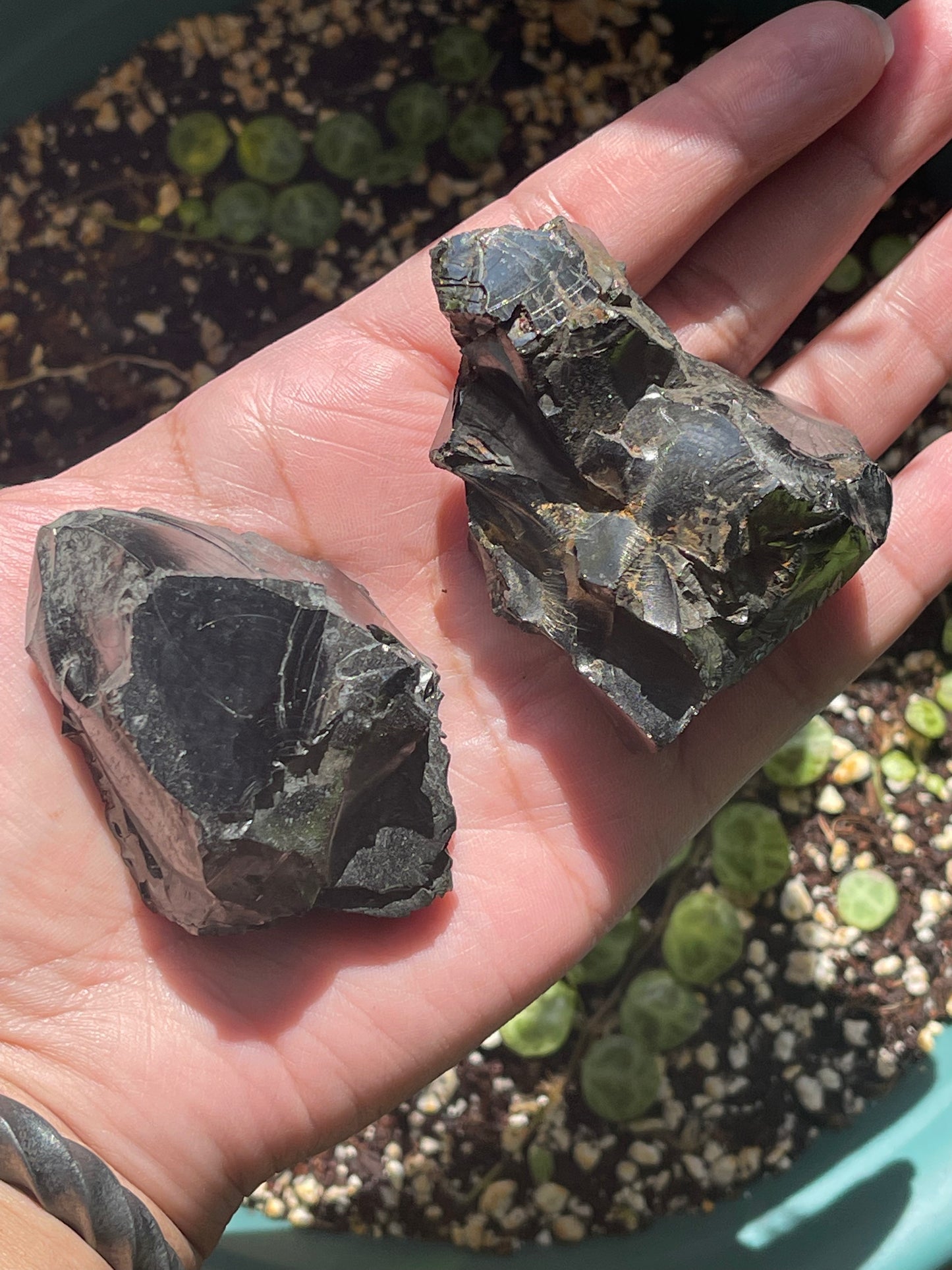 Elite Raw Shungite