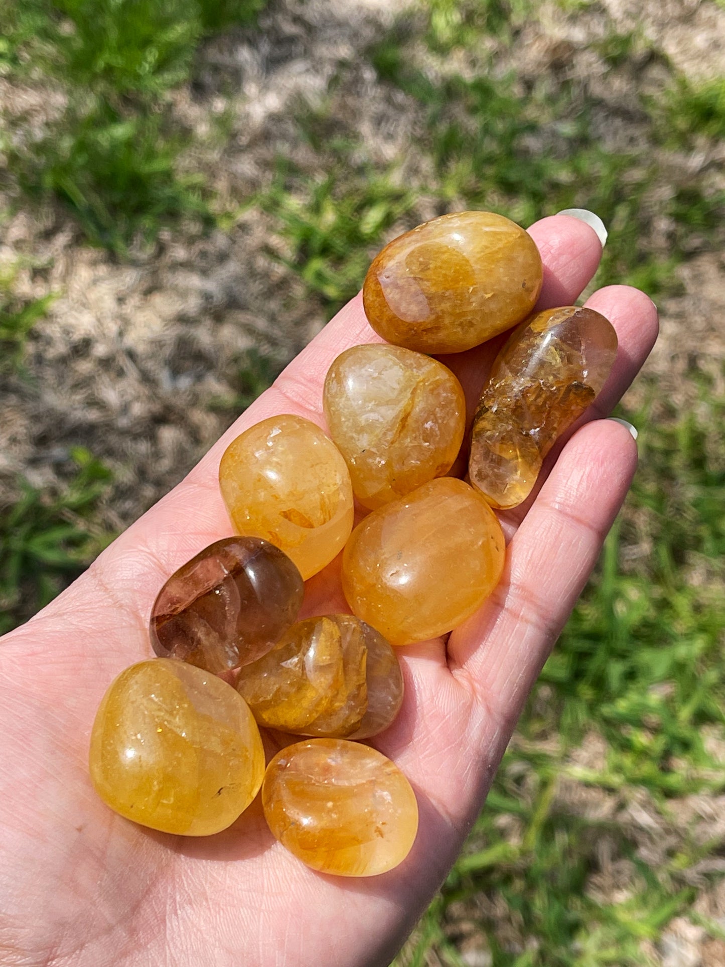 Golden Healer Tumbles