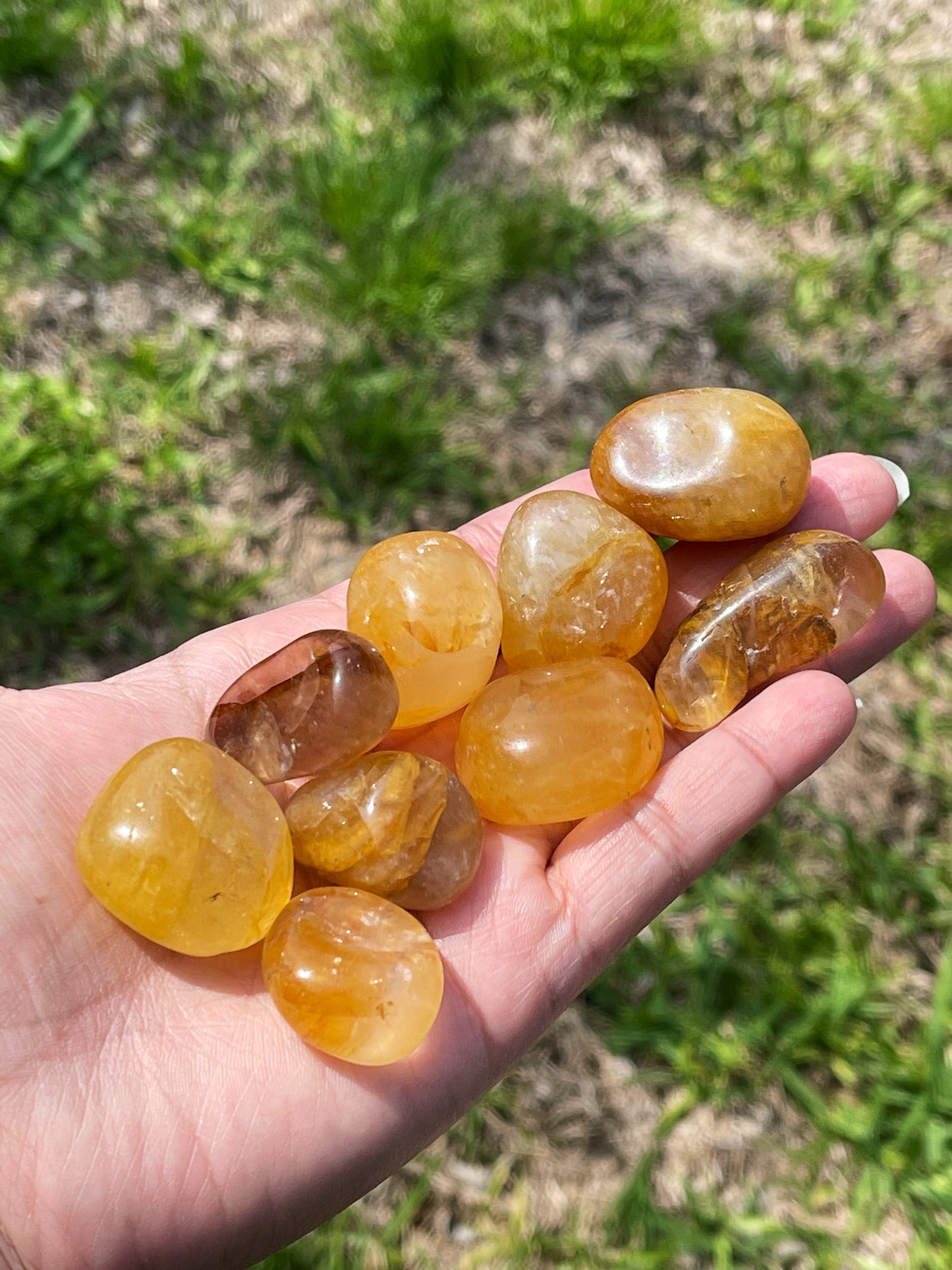 Golden Healer Tumbles