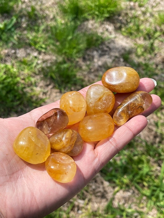 Golden Healer Tumbles