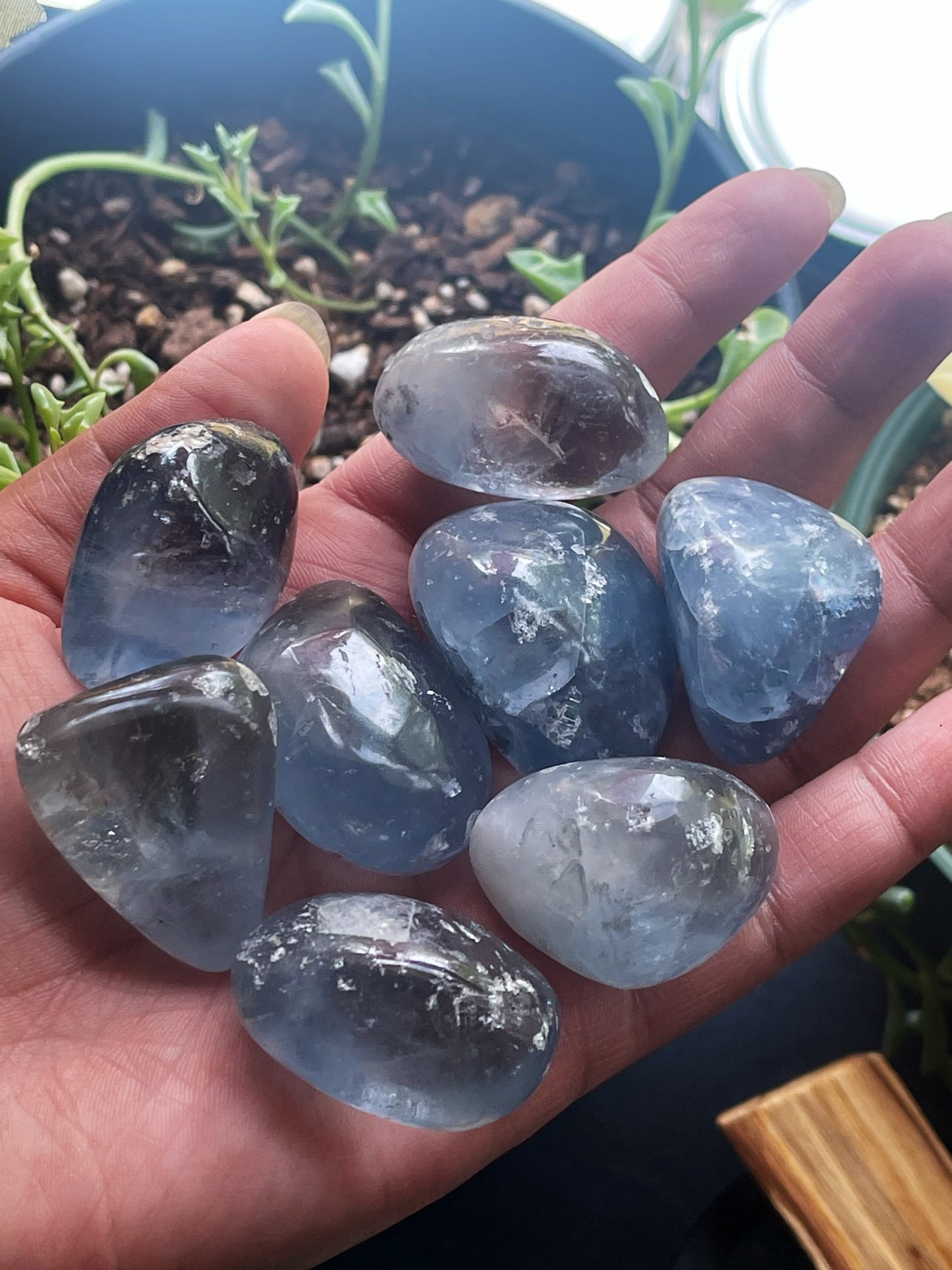 Celestite Tumbles