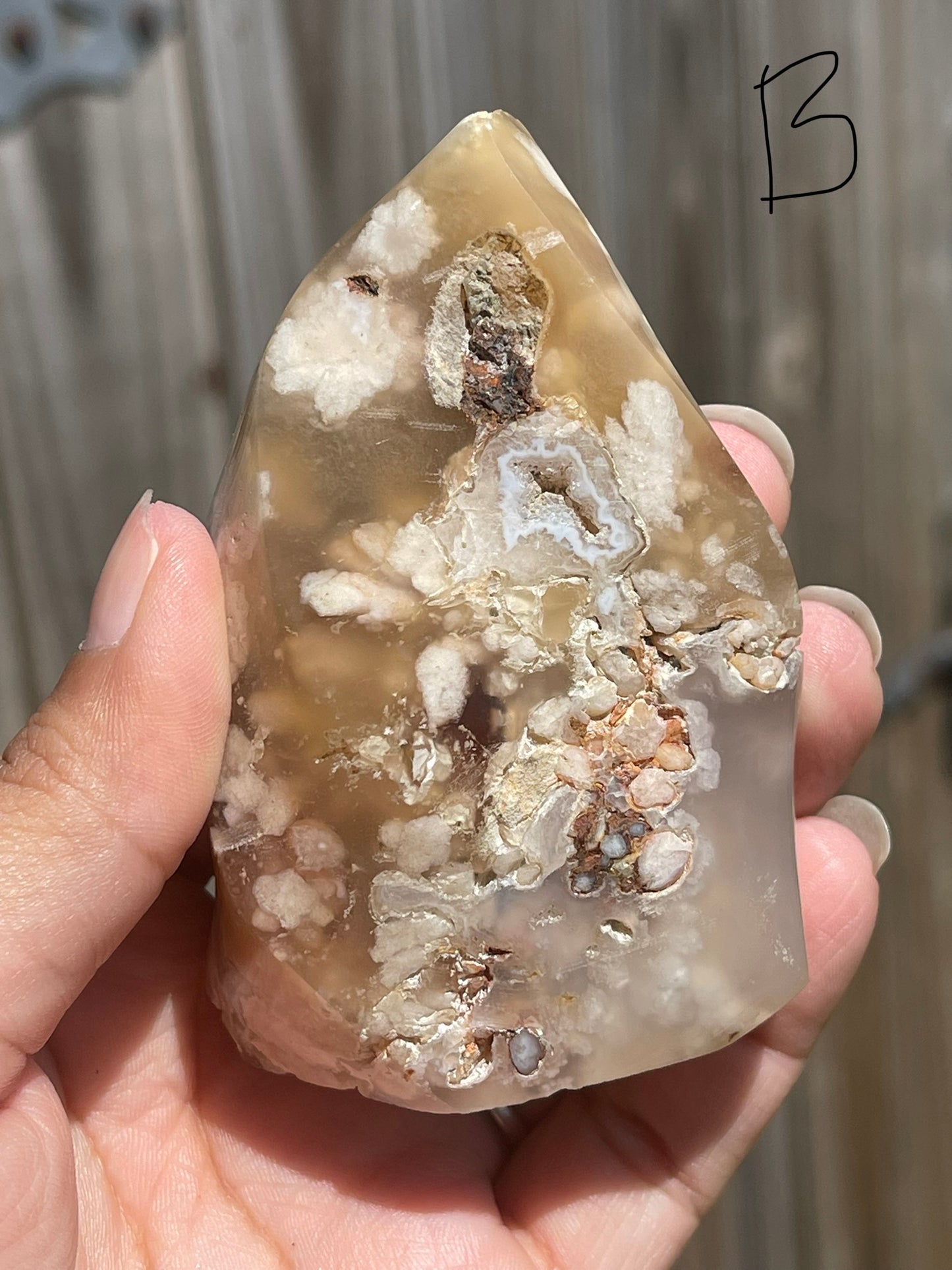 Flower Agate Flames