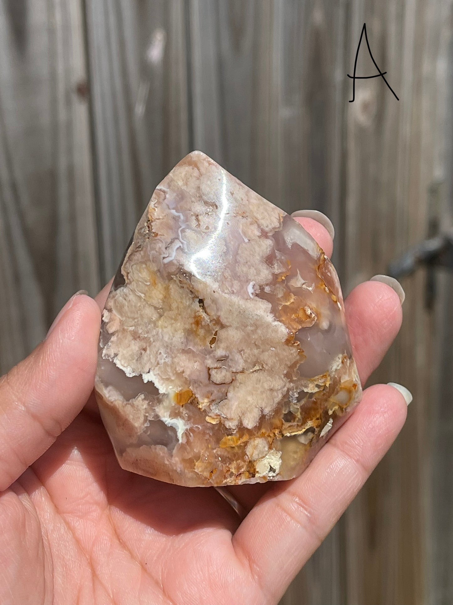 Flower Agate Flames