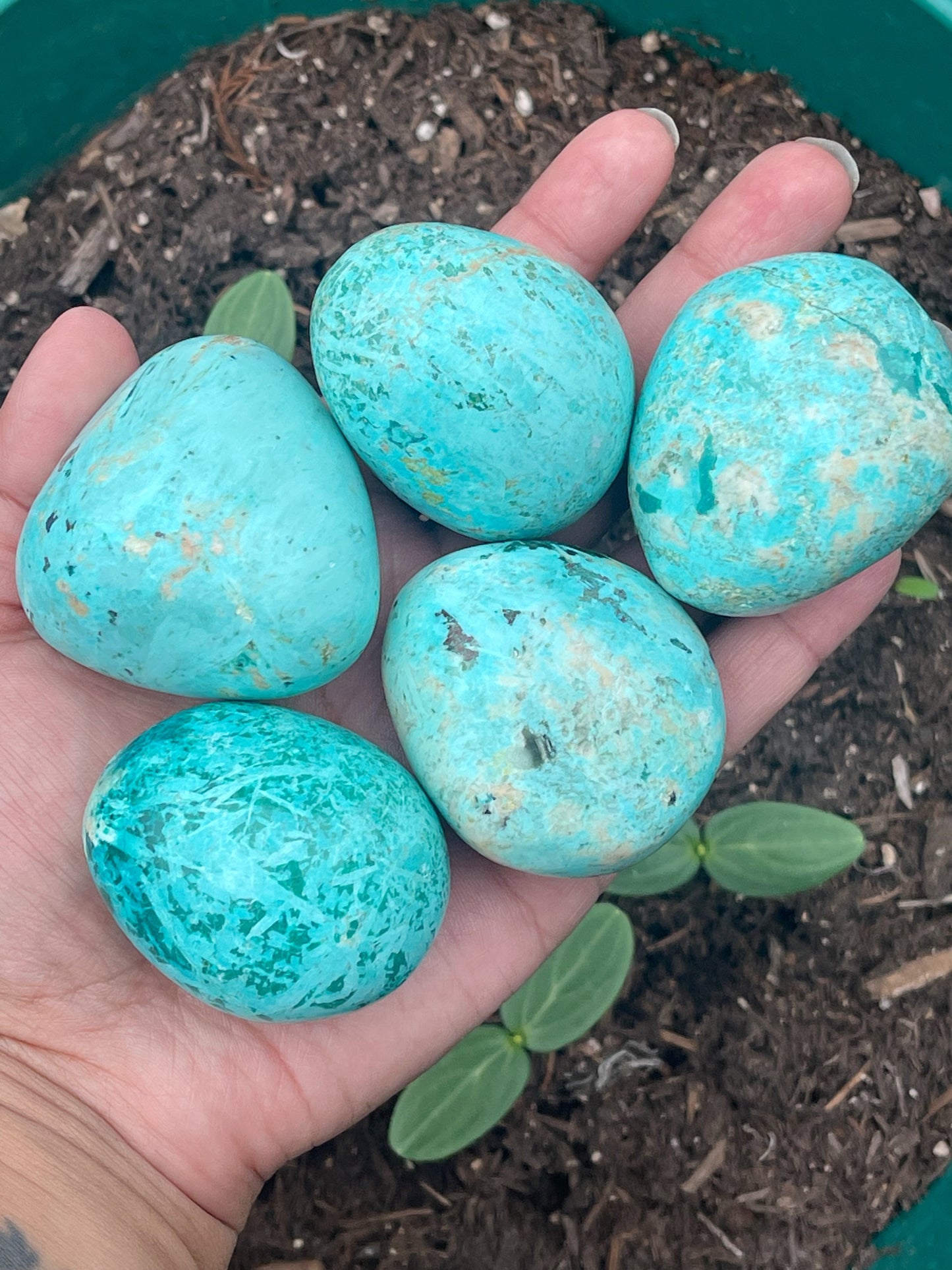 Peruvian Turquoise Tumbles & Palm Stones