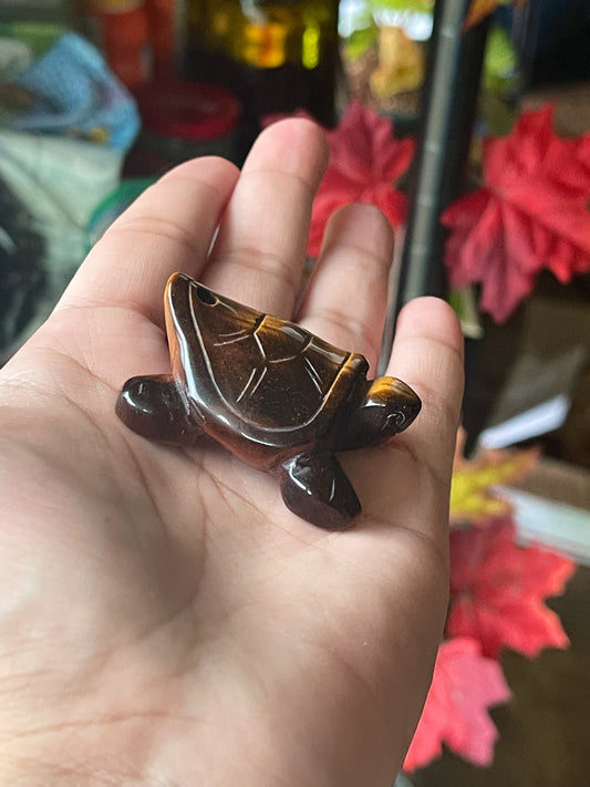 Tigers Eye Turtle