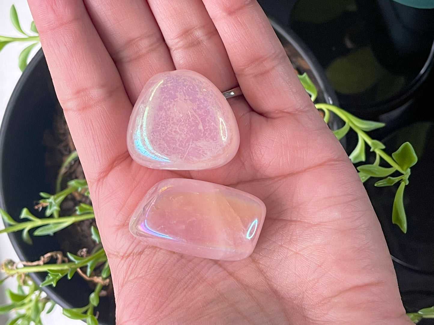 Angel Aura Rose Quartz Tumbles