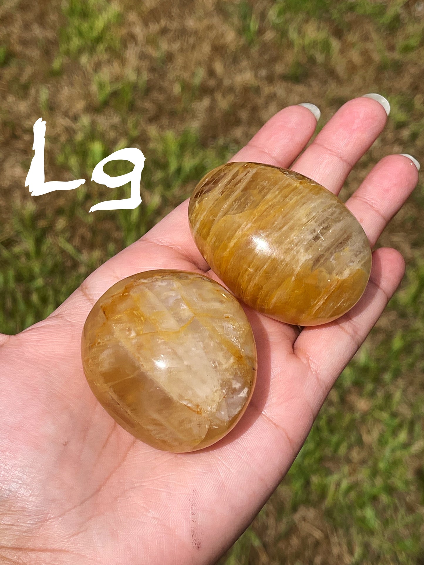 Golden Healer Palm Stone