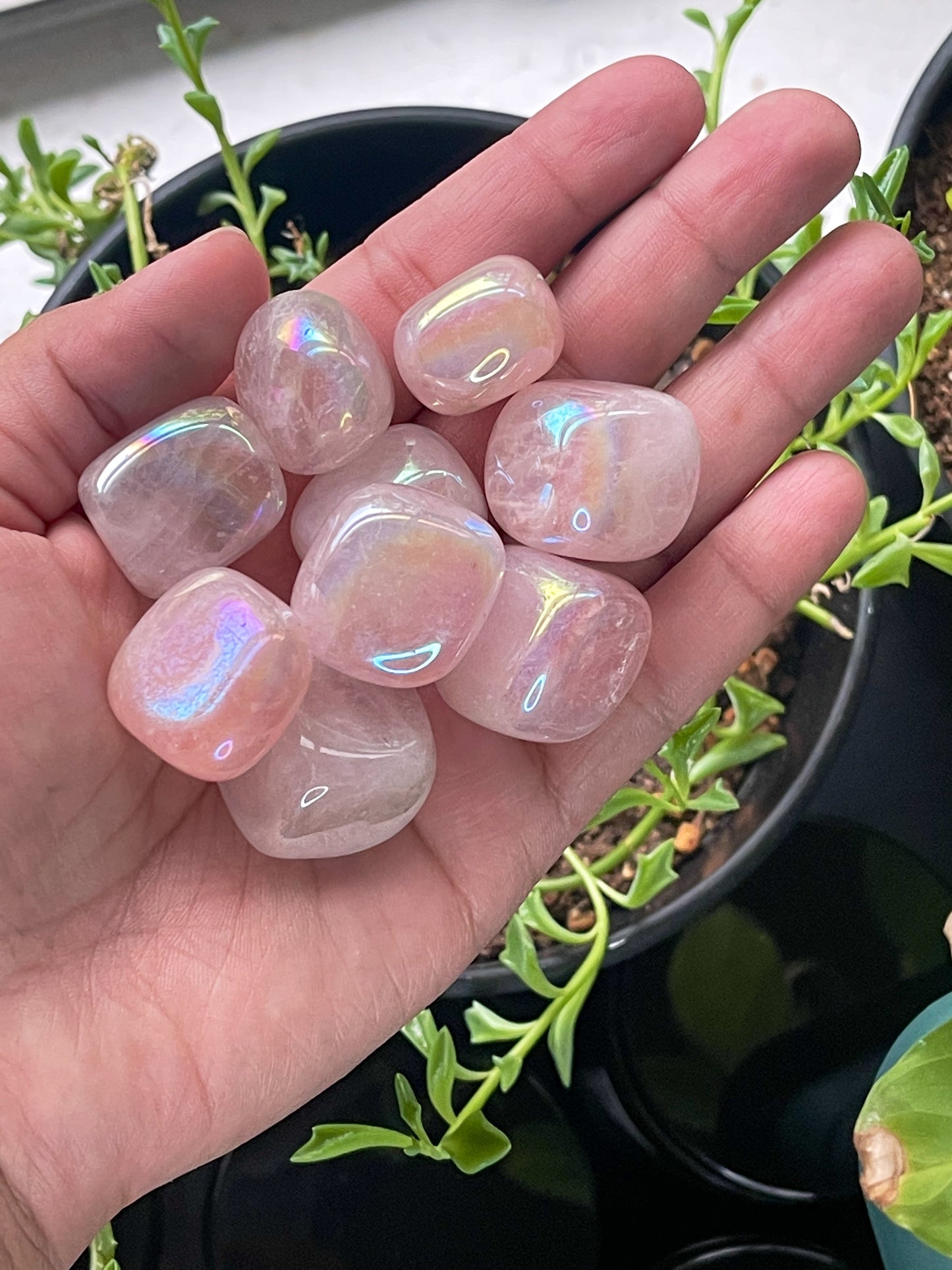 Angel Aura Rose Quartz Tumbles