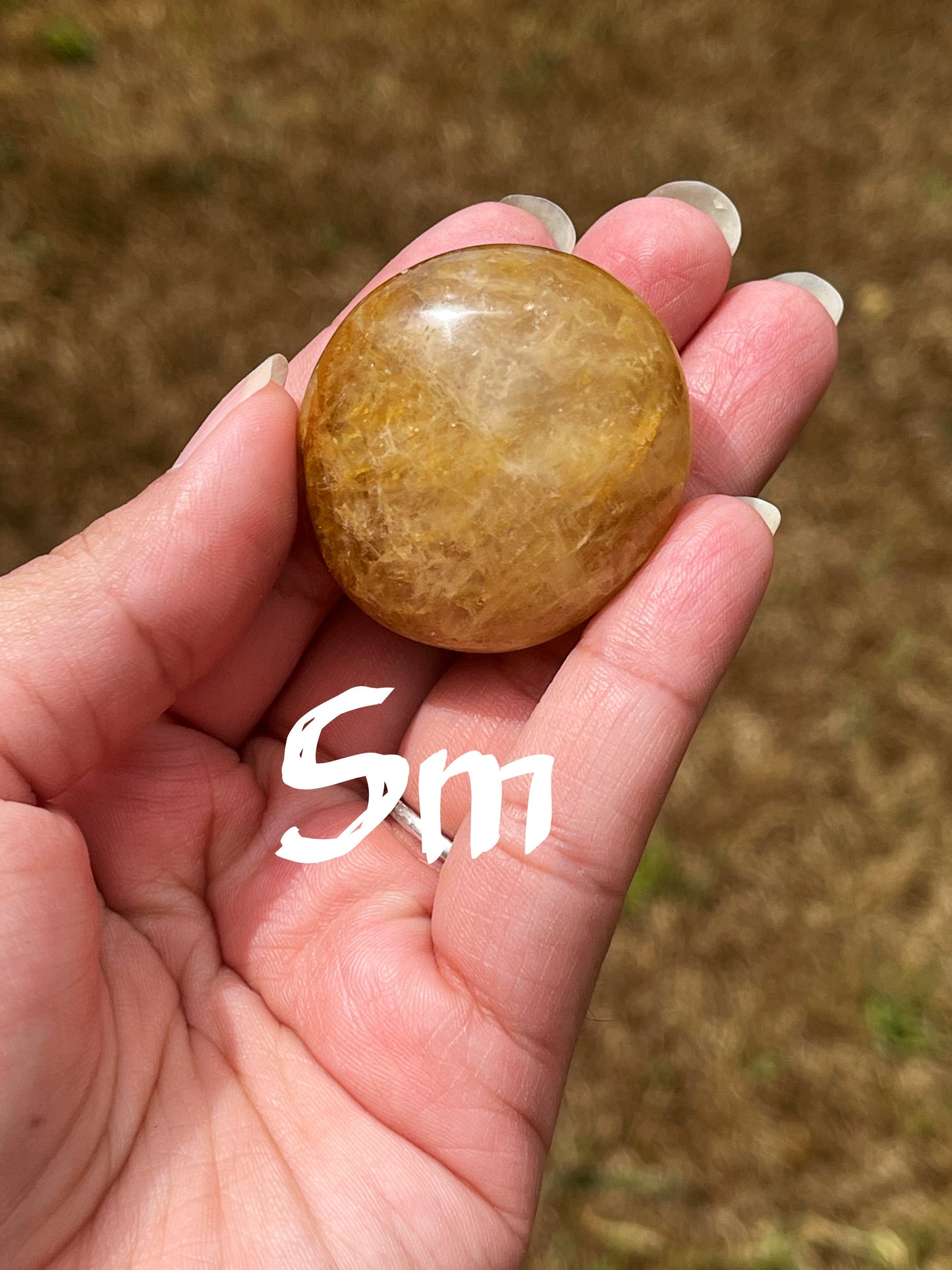 Golden Healer Palm Stone