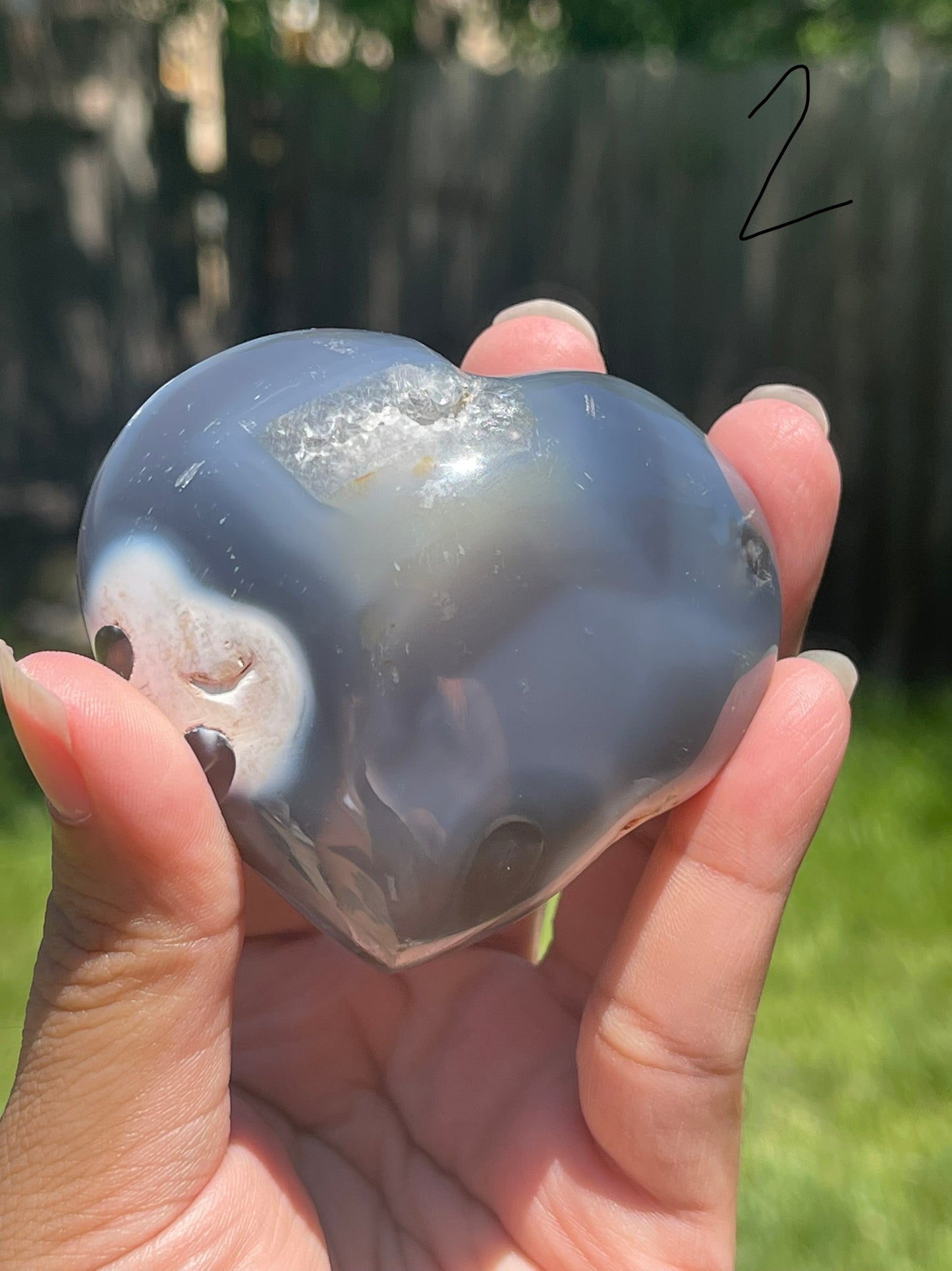 Orca Agate Hearts