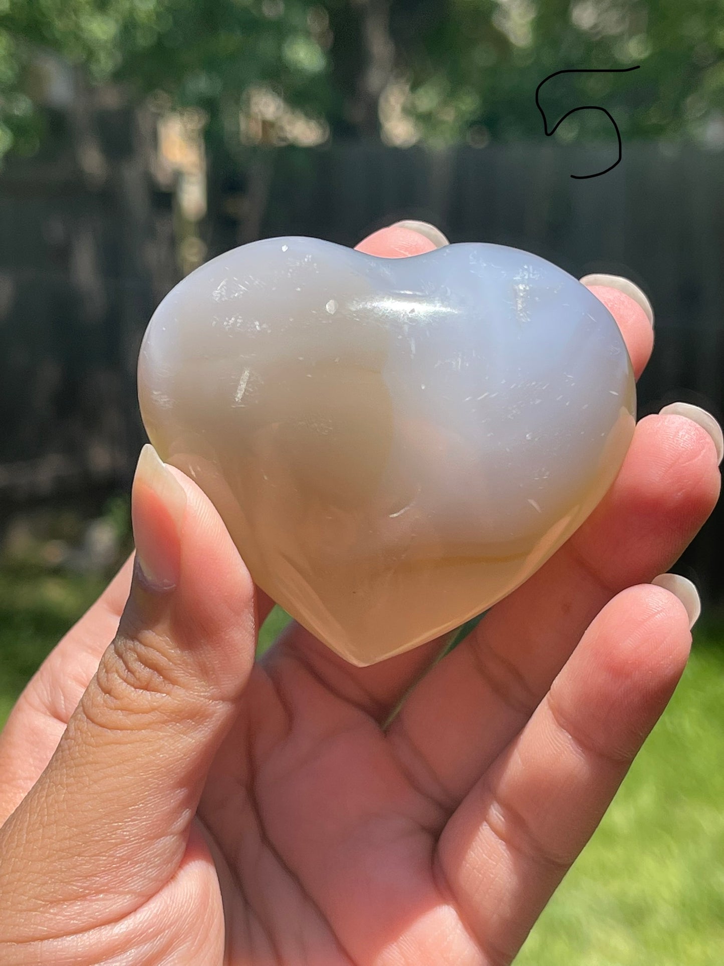 Orca Agate Hearts