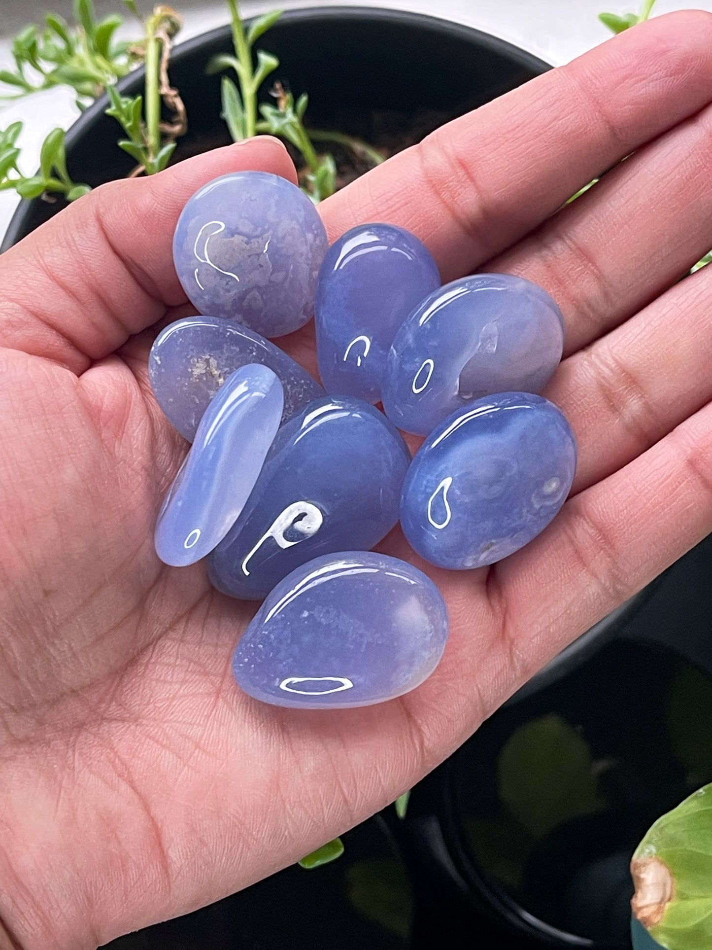 Blue Chalcedony Tumbles
