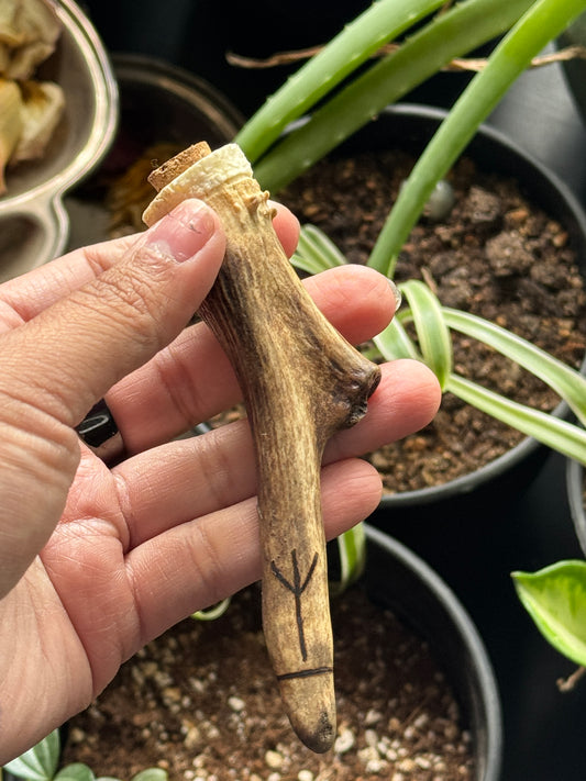 Protection Antler Container
