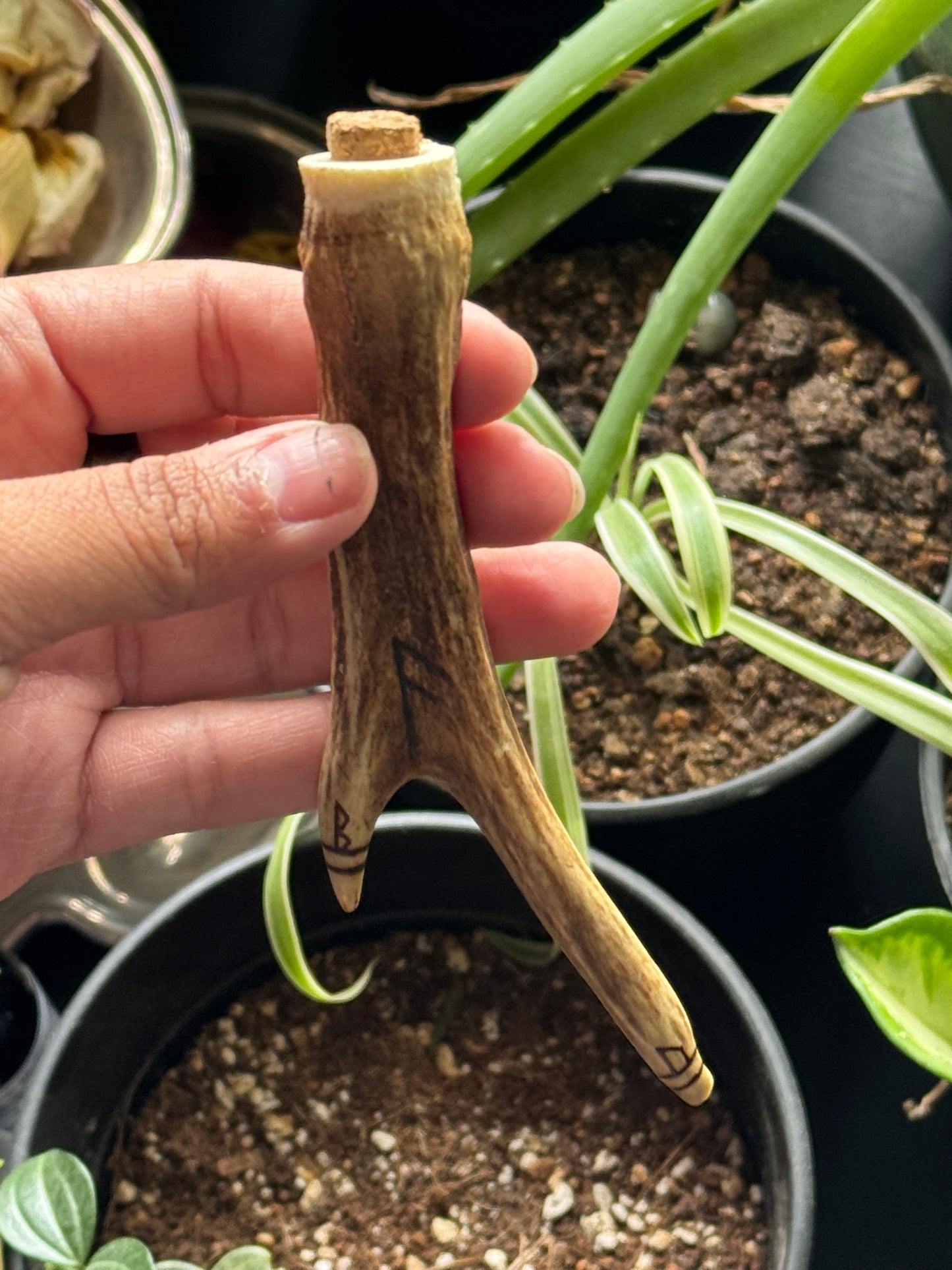 Offering To The Gods Antler Container