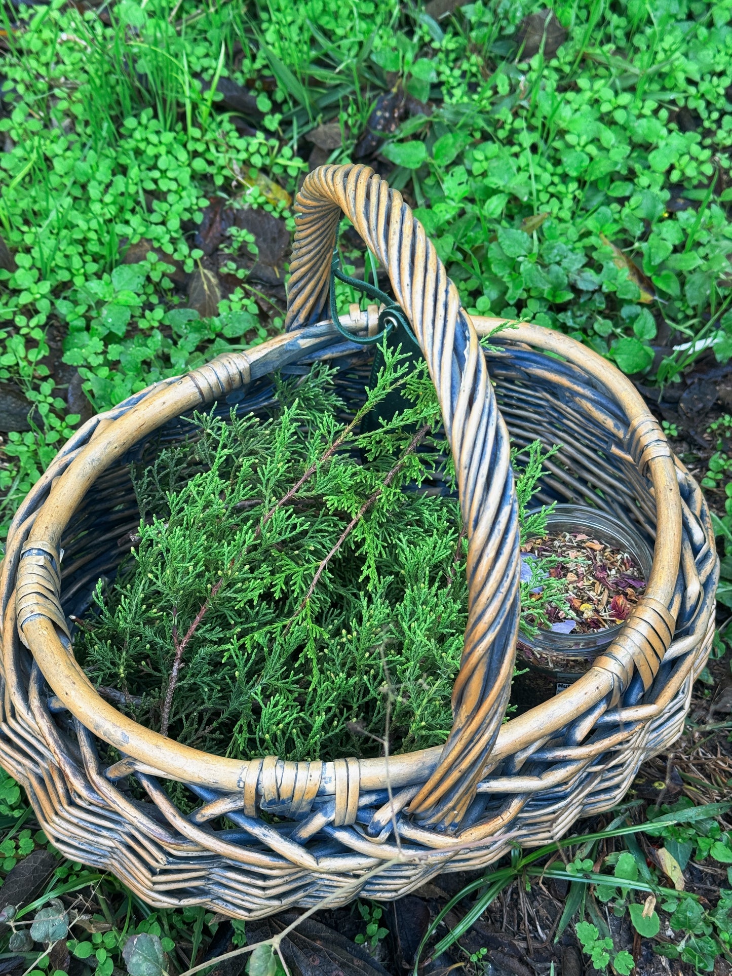 Mini Yule Logs // Mini Solstice Herb Bundles