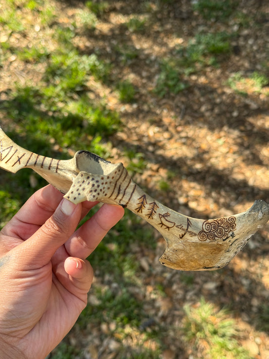 Boar Hip Bone Dedicated To Odin