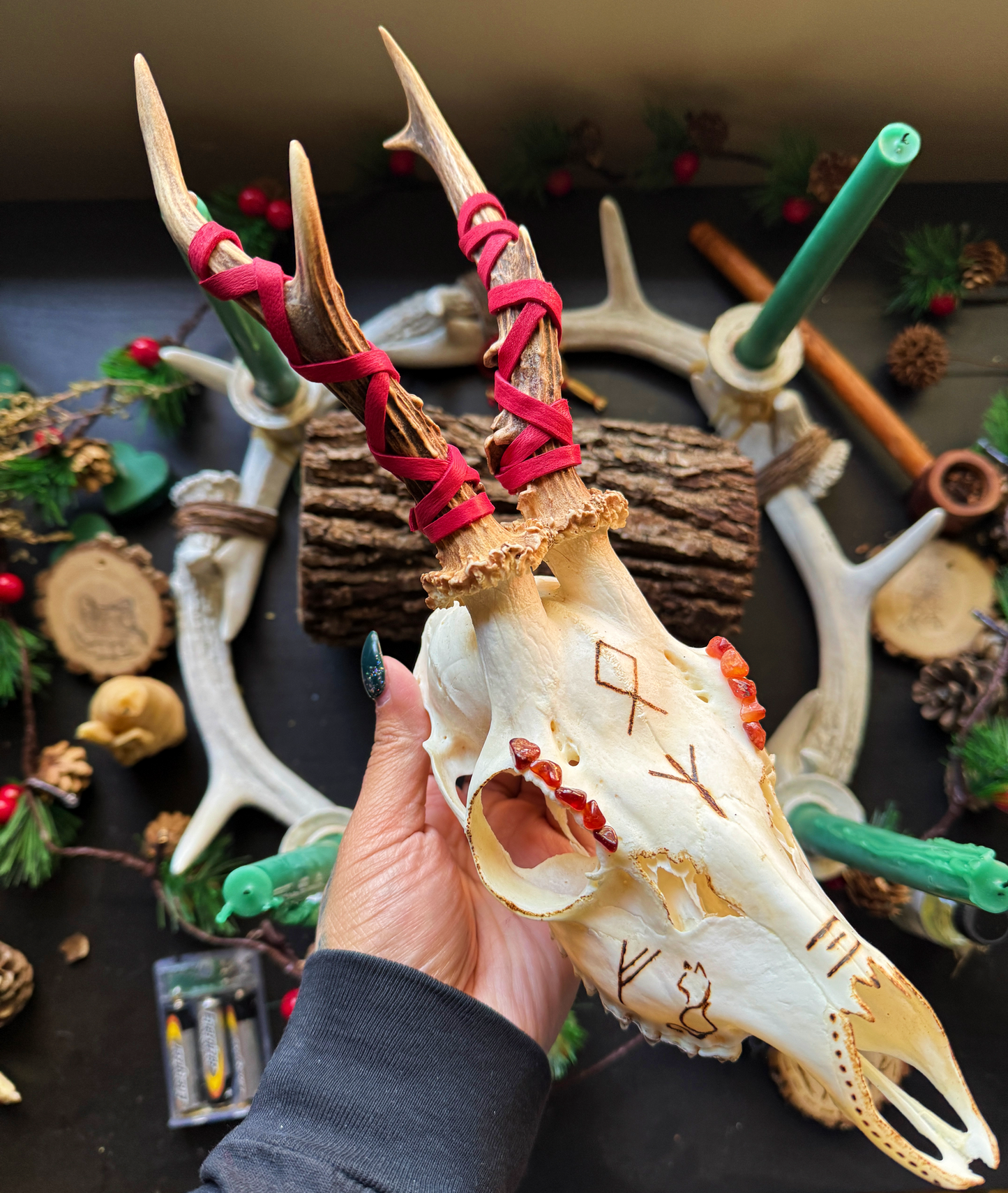 Freyja and Thor Roe Deer Skull Hand Burned