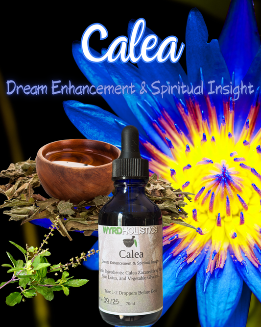 Calea // Dream Work & Spiritual Insight Glycerite