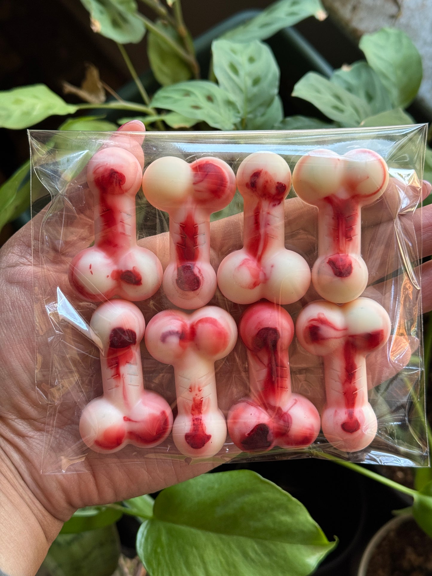 Erotic Horror Wax Melts // Bookish Collection