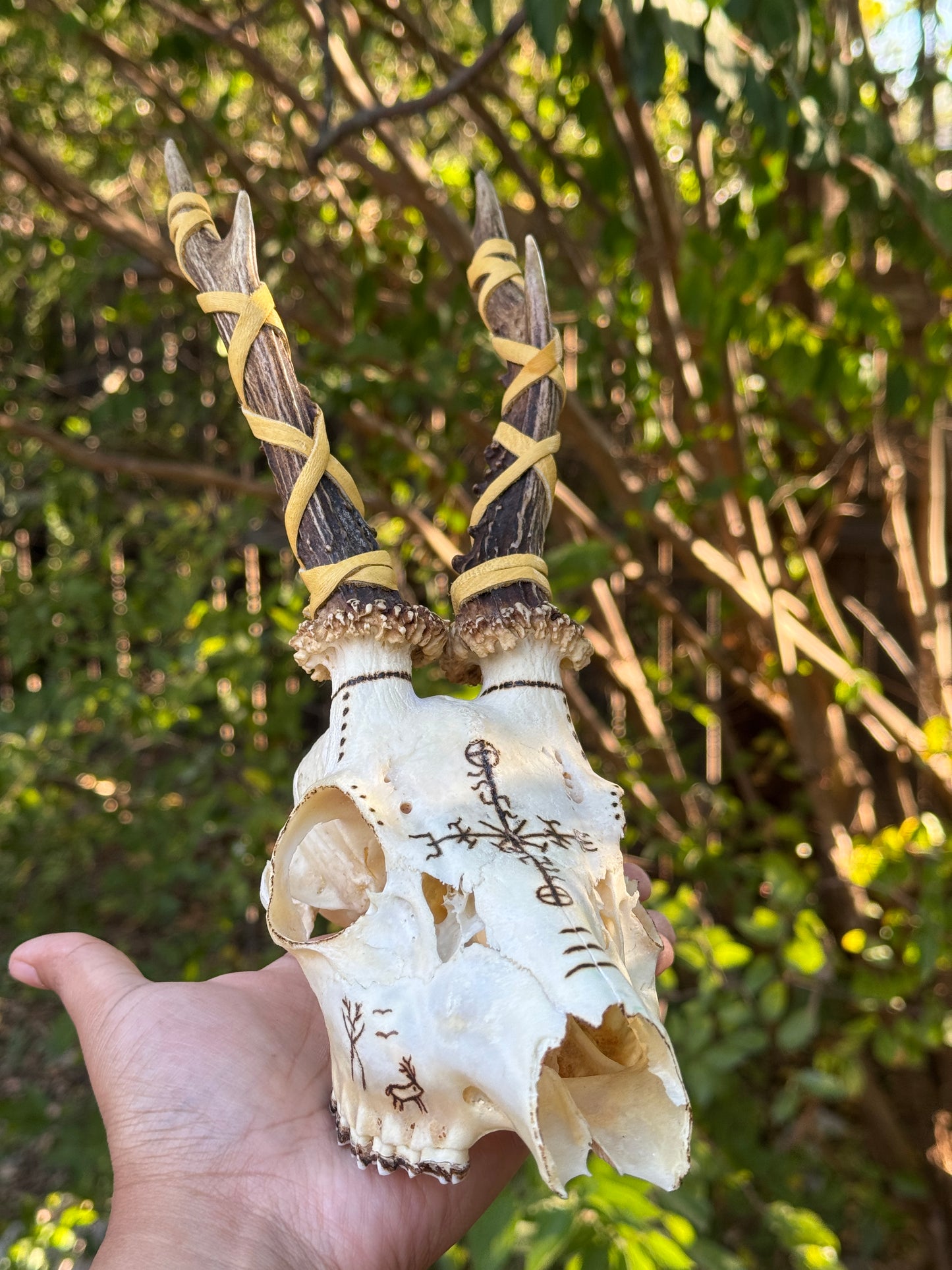 Protection & Honoring The Landvaettir Roe Deer Skull // Hand Burned