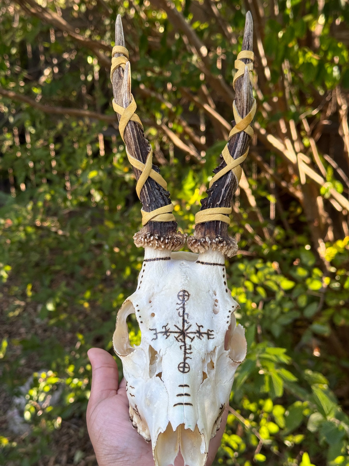 Protection & Honoring The Landvaettir Roe Deer Skull // Hand Burned