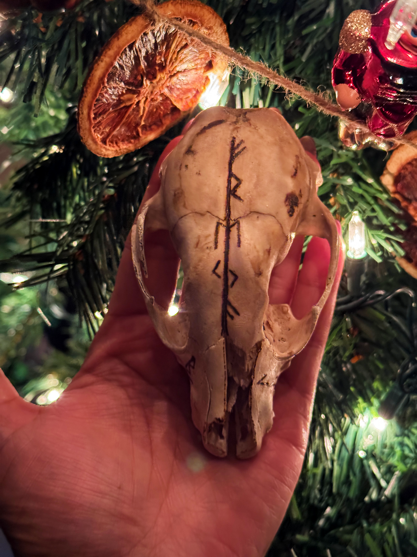 Freyja Raccoon Skull // Hand Burned