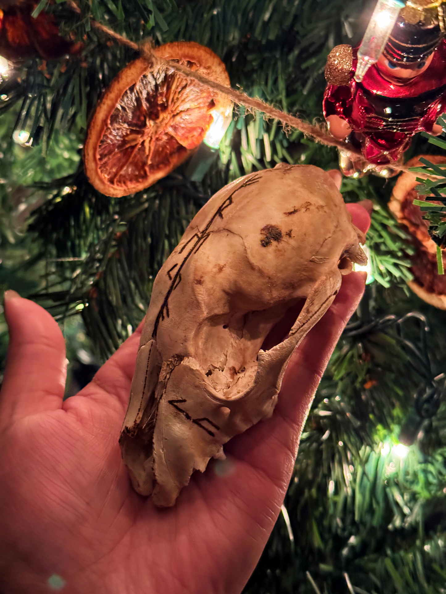 Freyja Raccoon Skull // Hand Burned