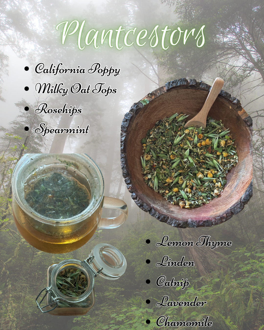 Plantcestors Herbal Tea // Loose Leaf Tea