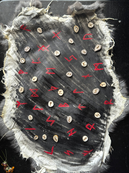 Elder Futhark Antler Slice Rune Set w/ Rabbit Pelt