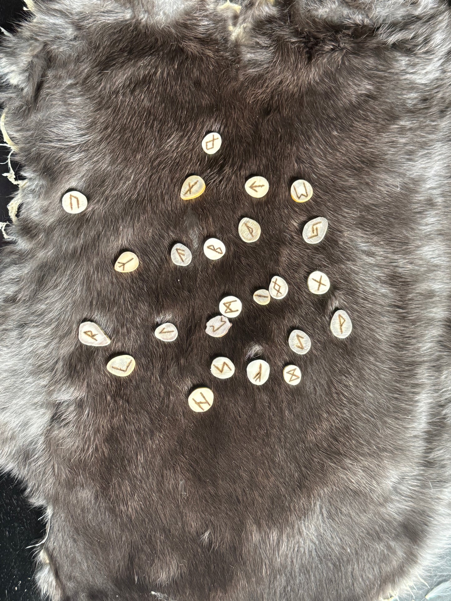 Elder Futhark Antler Slice Rune Set w/ Rabbit Pelt