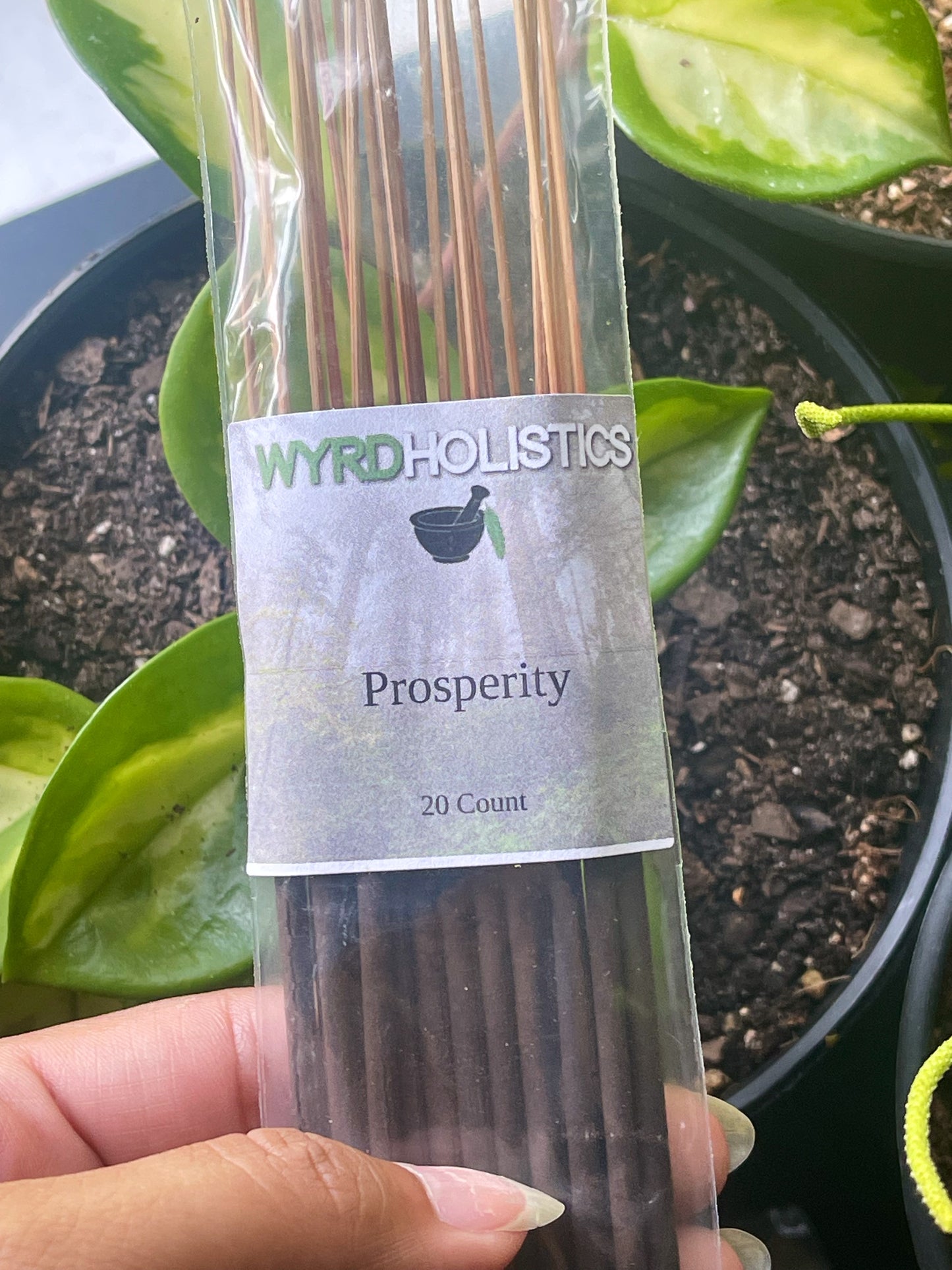 Prosperity Hand Dipped Incense Sticks